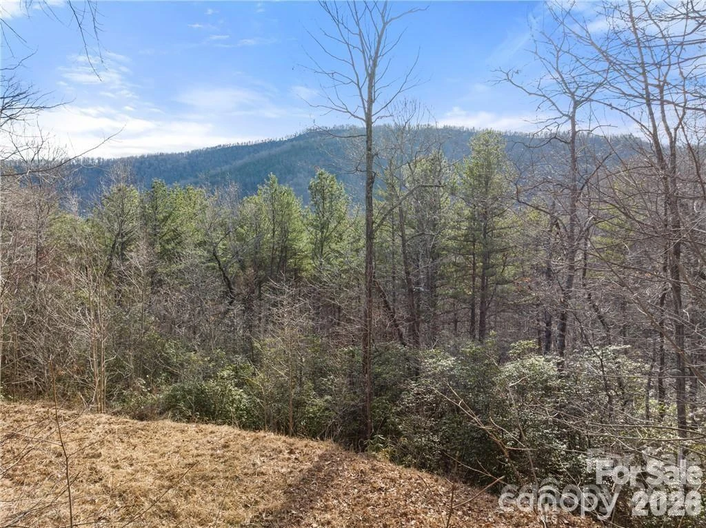 28 Trillium Lane #C-1 - Photo 2