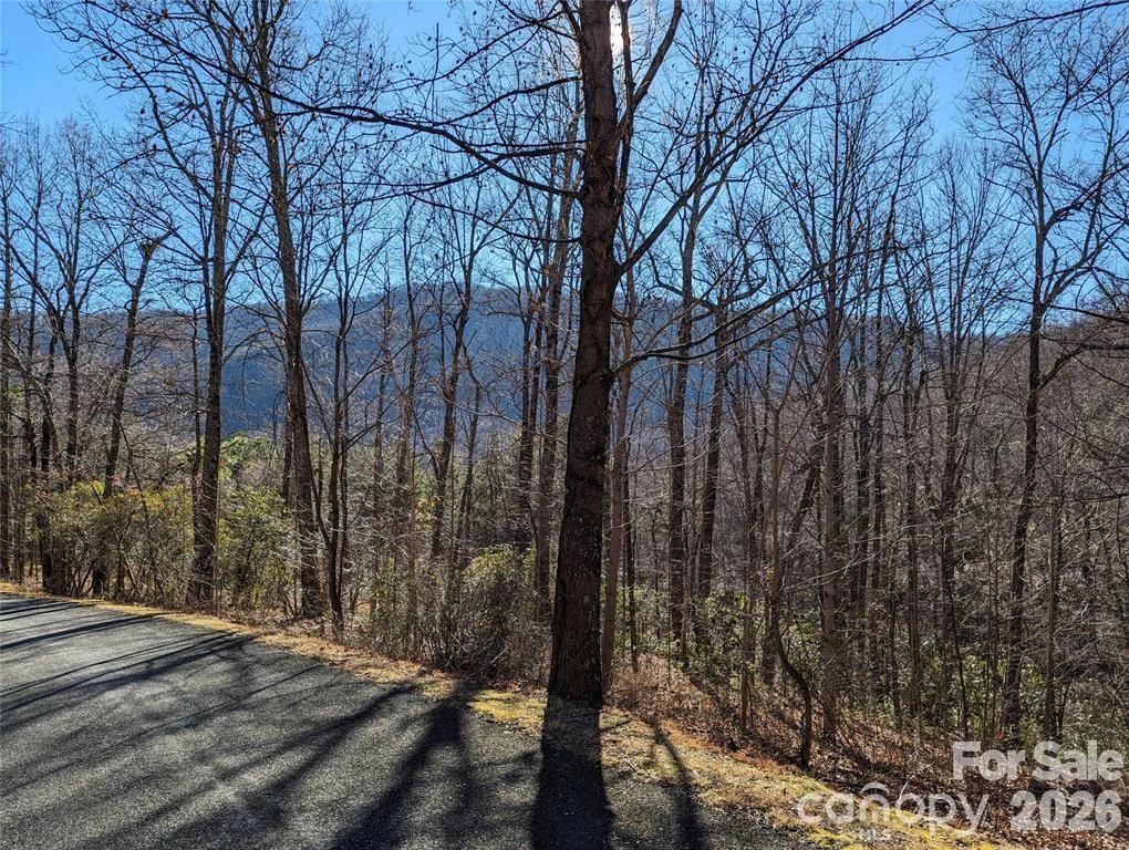 28 Trillium Lane #C-1 - Photo 14