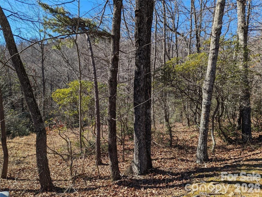 28 Trillium Lane #C-1 - Photo 16