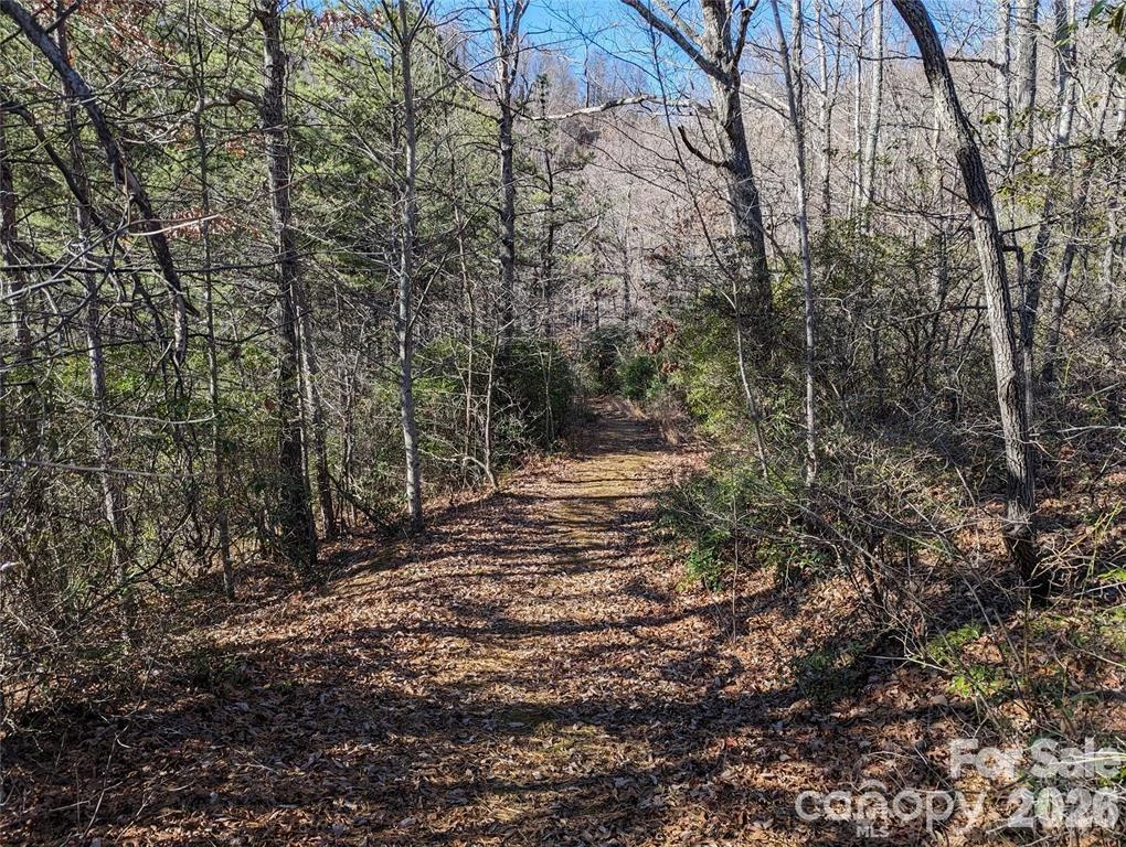 28 Trillium Lane #C-1 - Photo 19