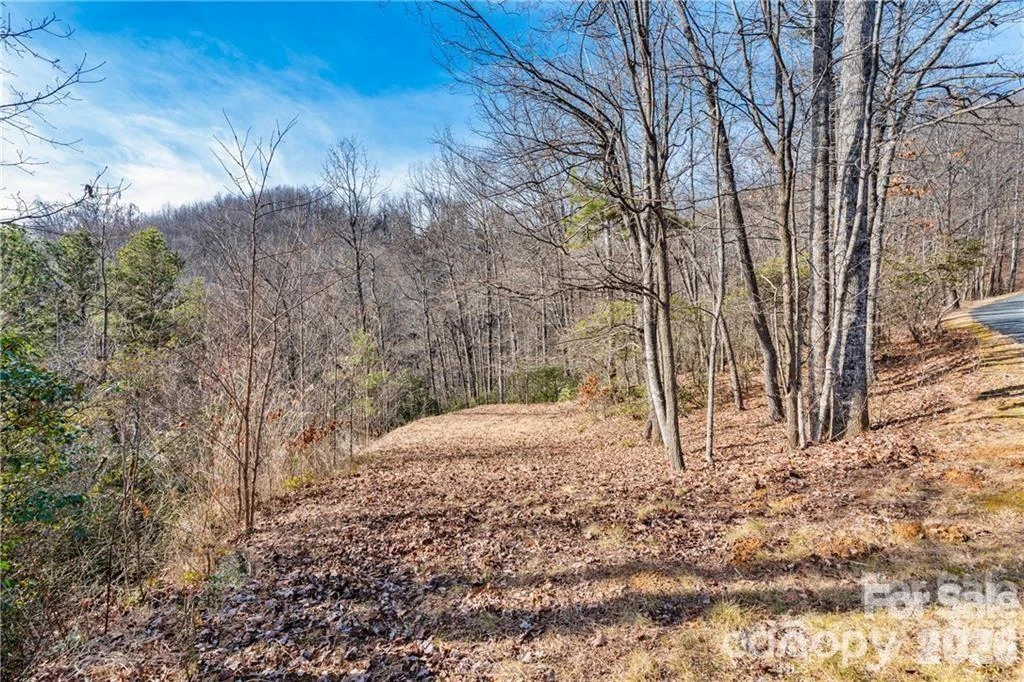 28 Trillium Lane #C-1 - Photo 3