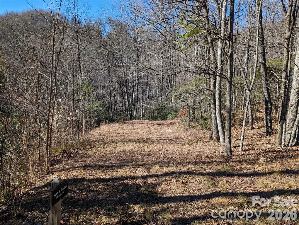 28 Trillium Lane #C-1 - Photo 4