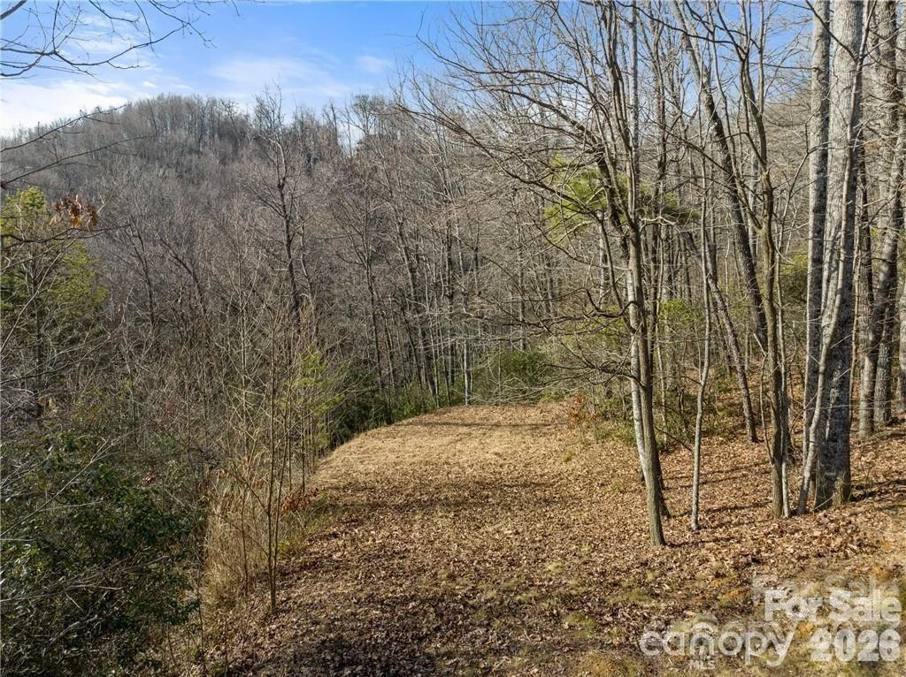 28 Trillium Lane #C-1 - Photo 5