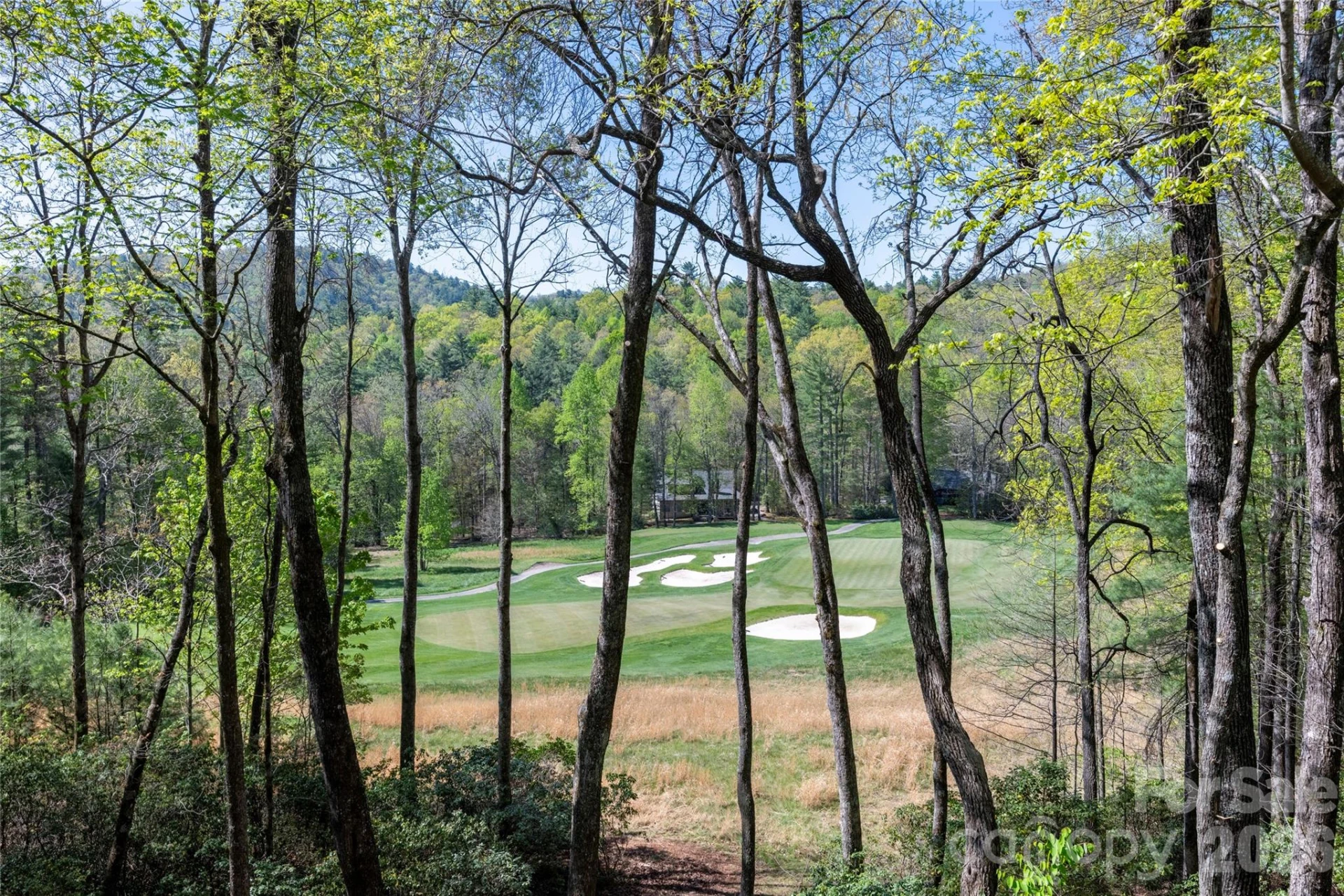 516 Cherokee Trace - Photo 25