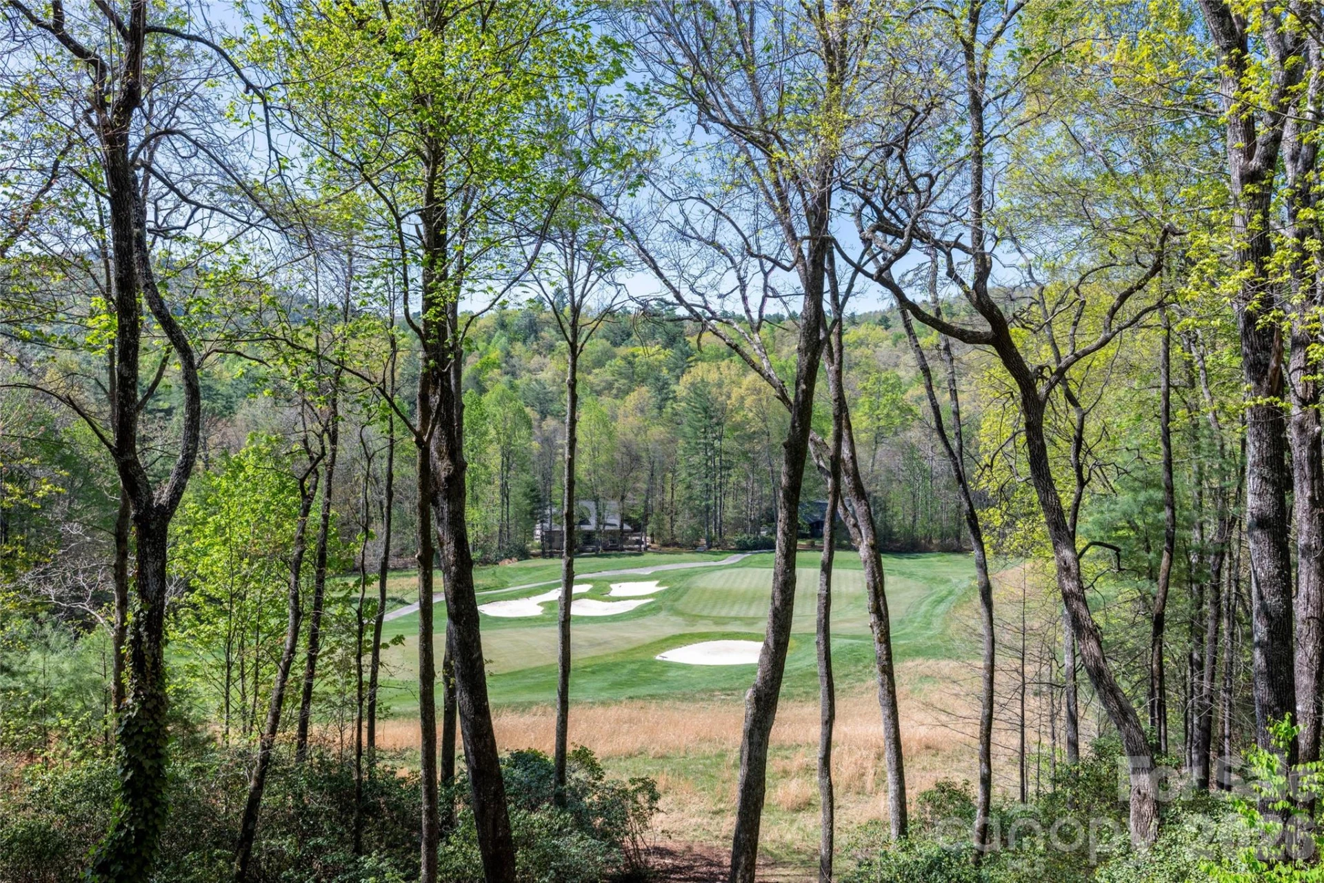 516 Cherokee Trace - Photo 30