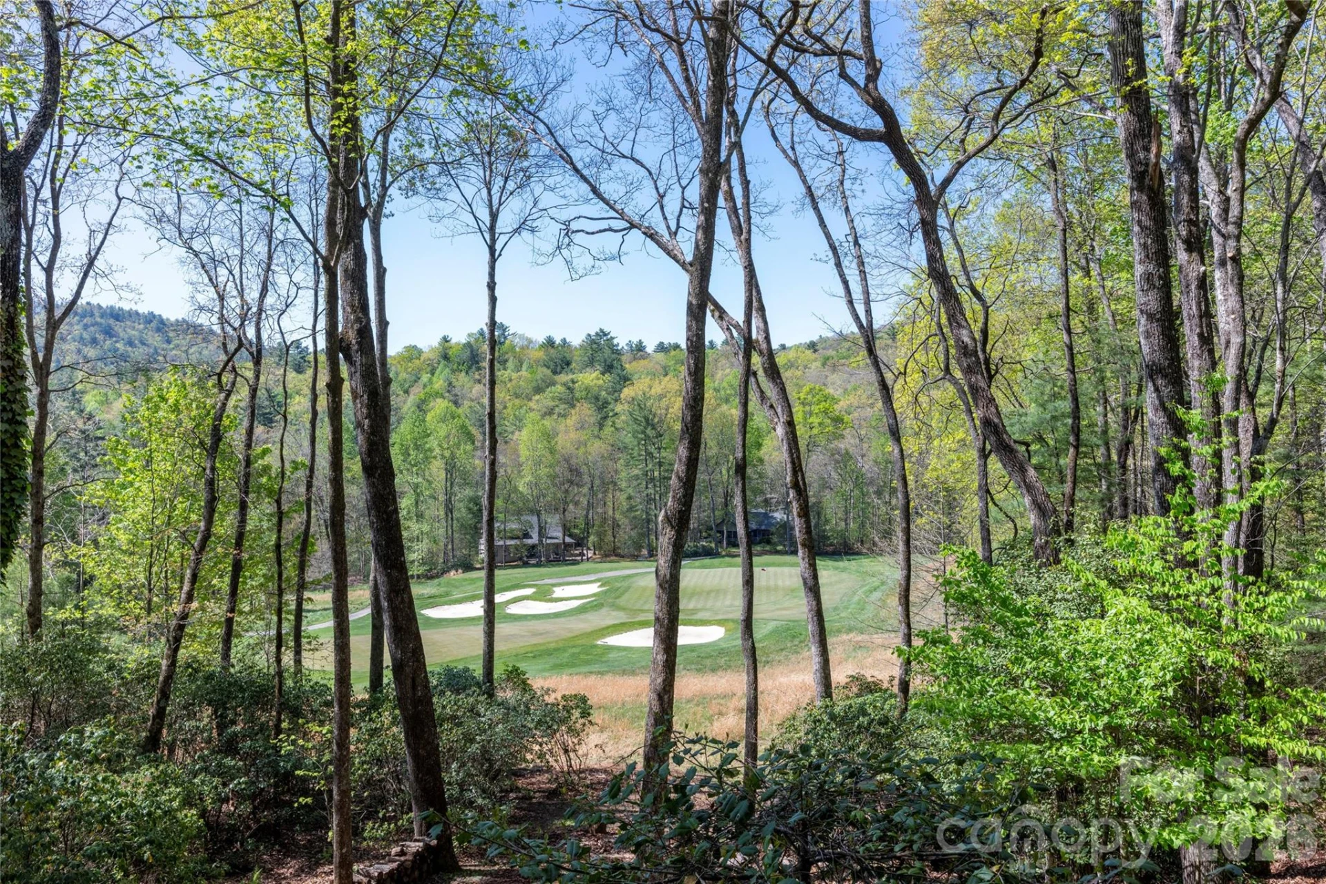 516 Cherokee Trace - Photo 39
