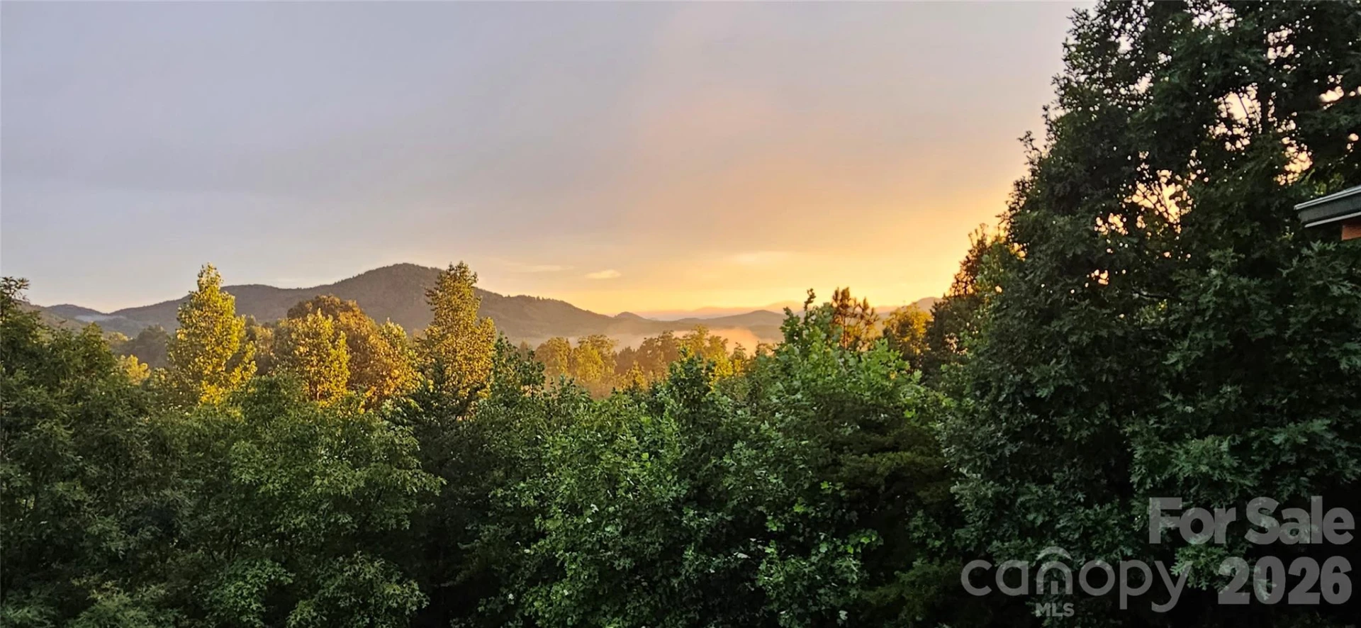 53 Osprey Lane - Photo 10