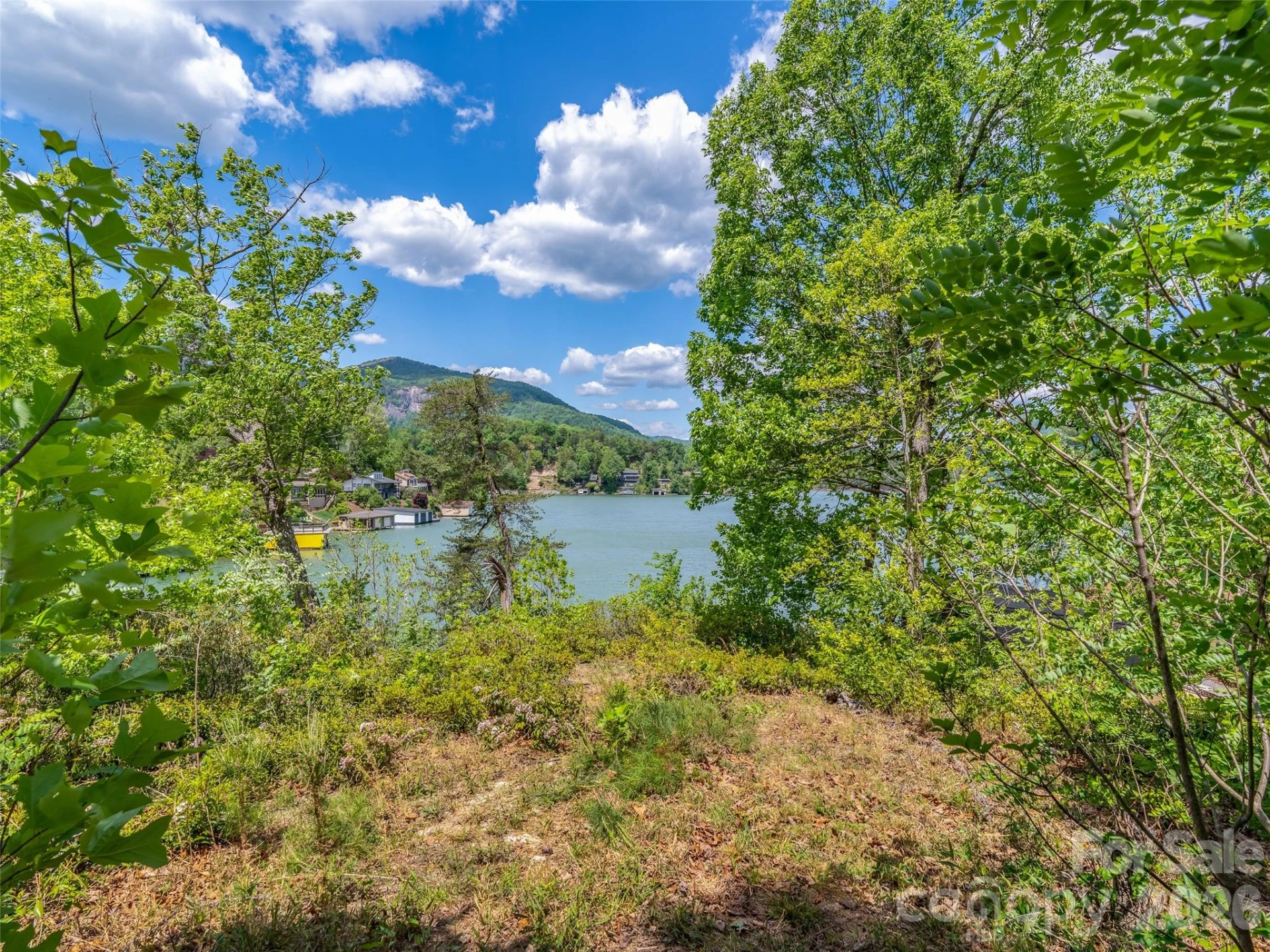 99999 Hawthorne Drive - Photo 5