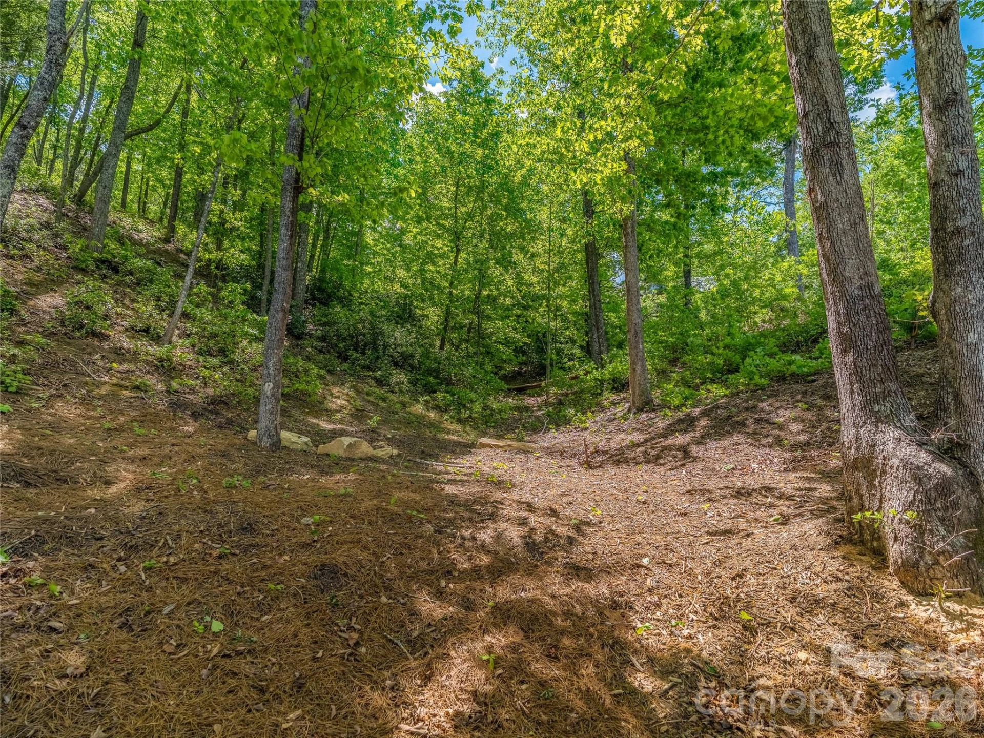 99999 Hawthorne Drive - Photo 8