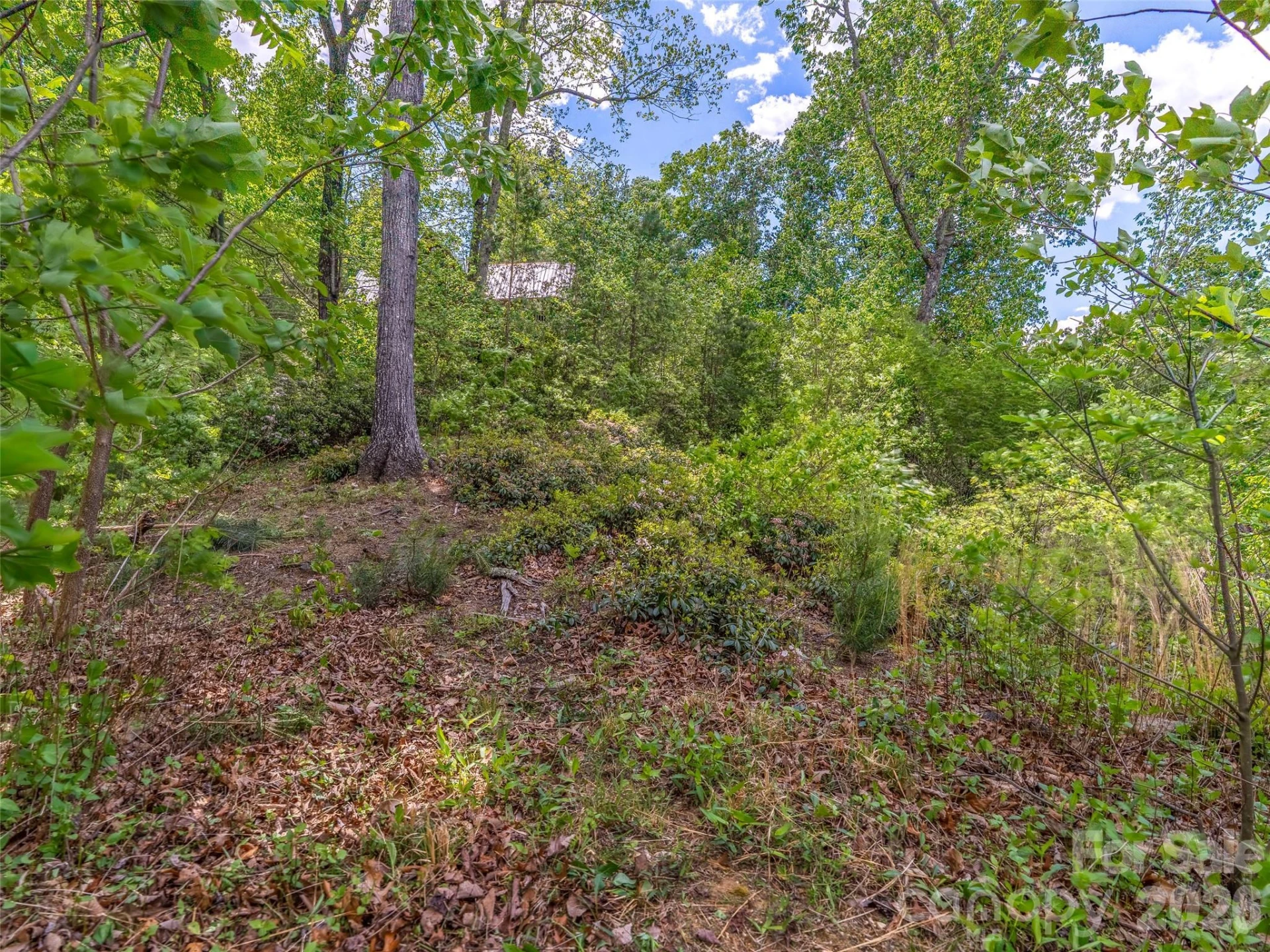 99999 Hawthorne Drive - Photo 9