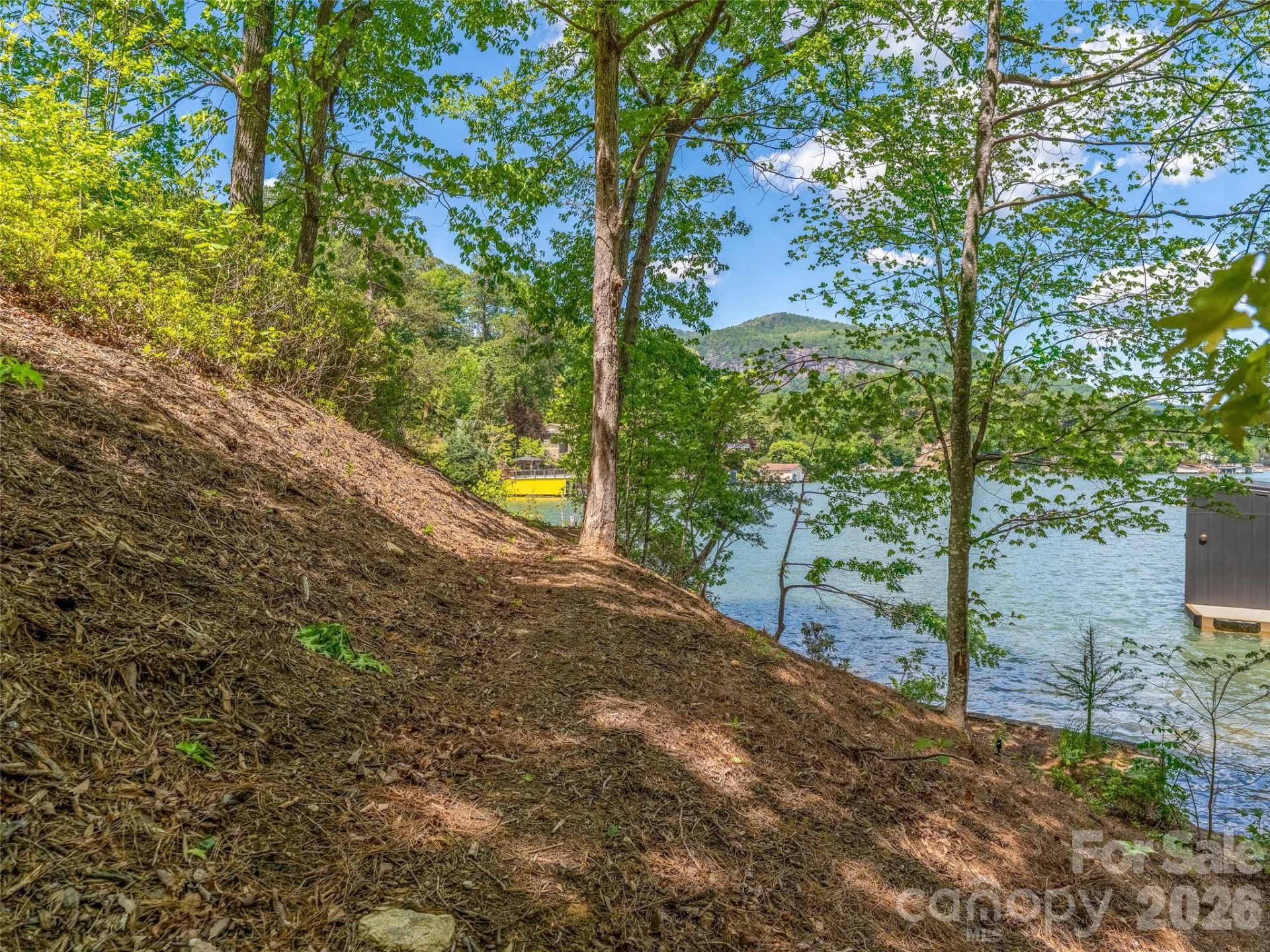 99999 Hawthorne Drive - Photo 10