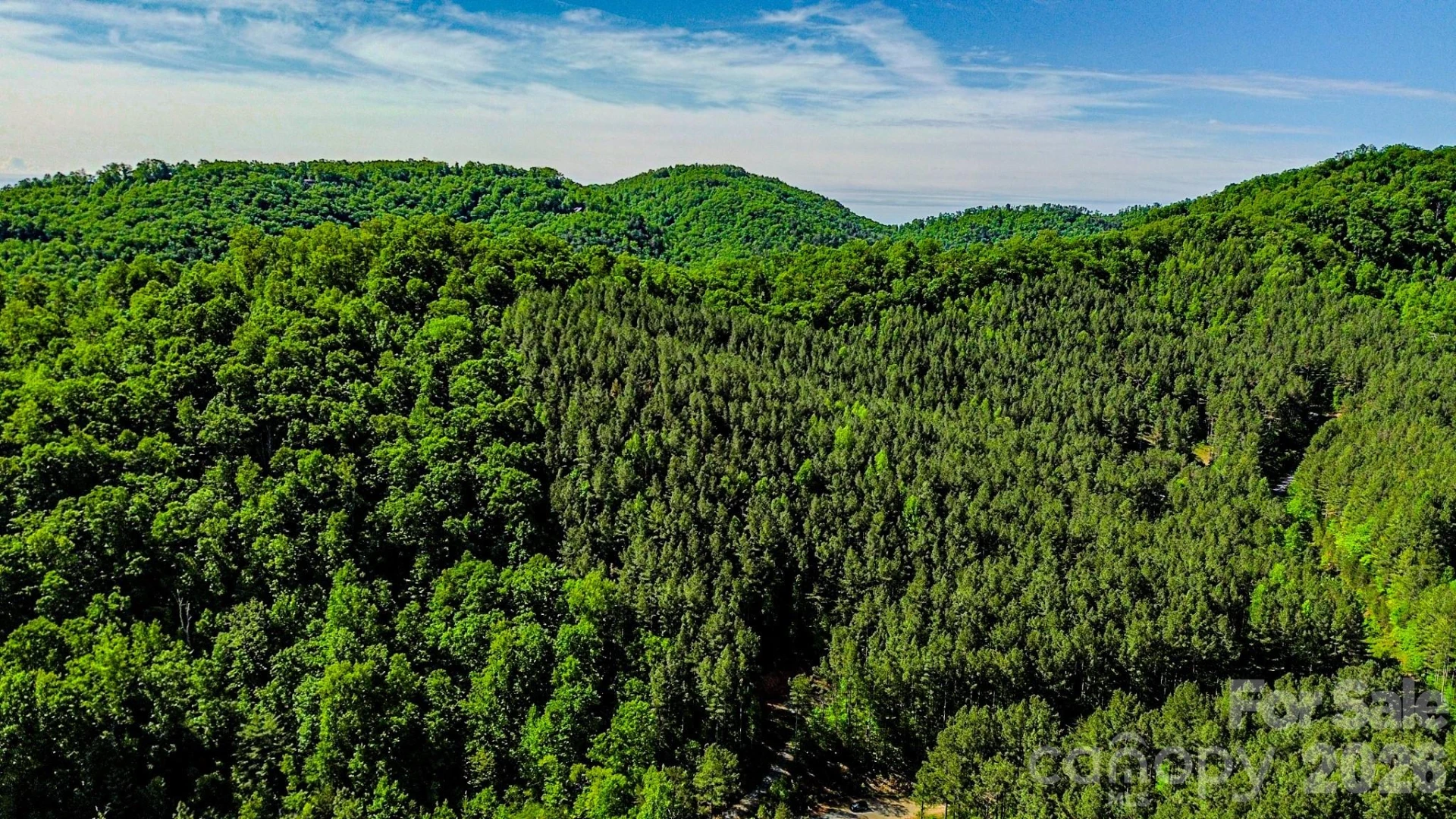 146 S Branch Drive - Photo 24
