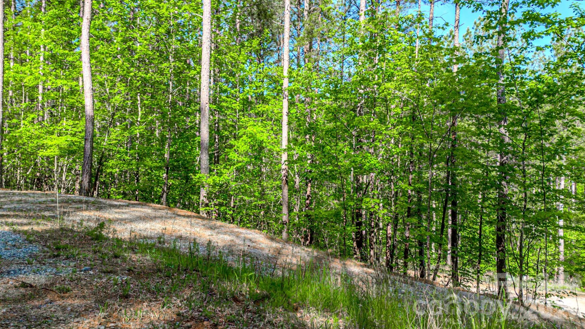 146 S Branch Drive - Photo 30