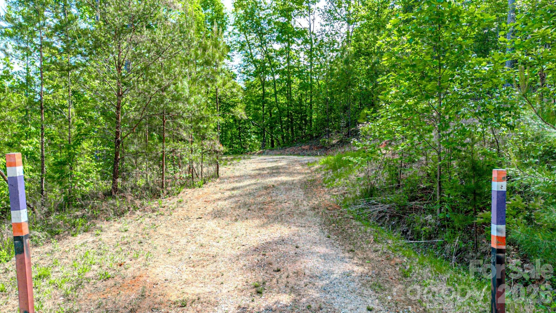 146 S Branch Drive - Photo 4