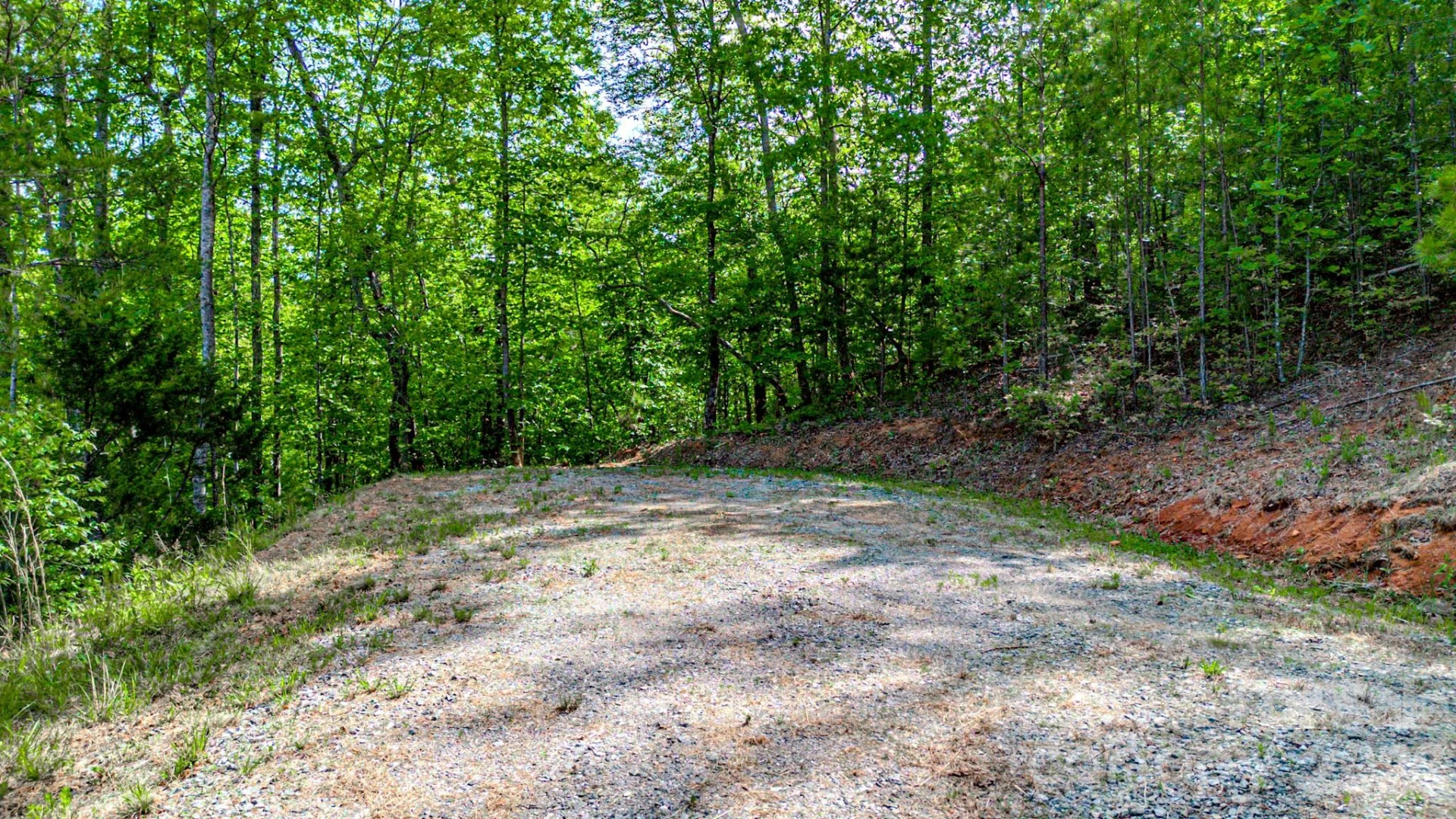 146 S Branch Drive - Photo 5