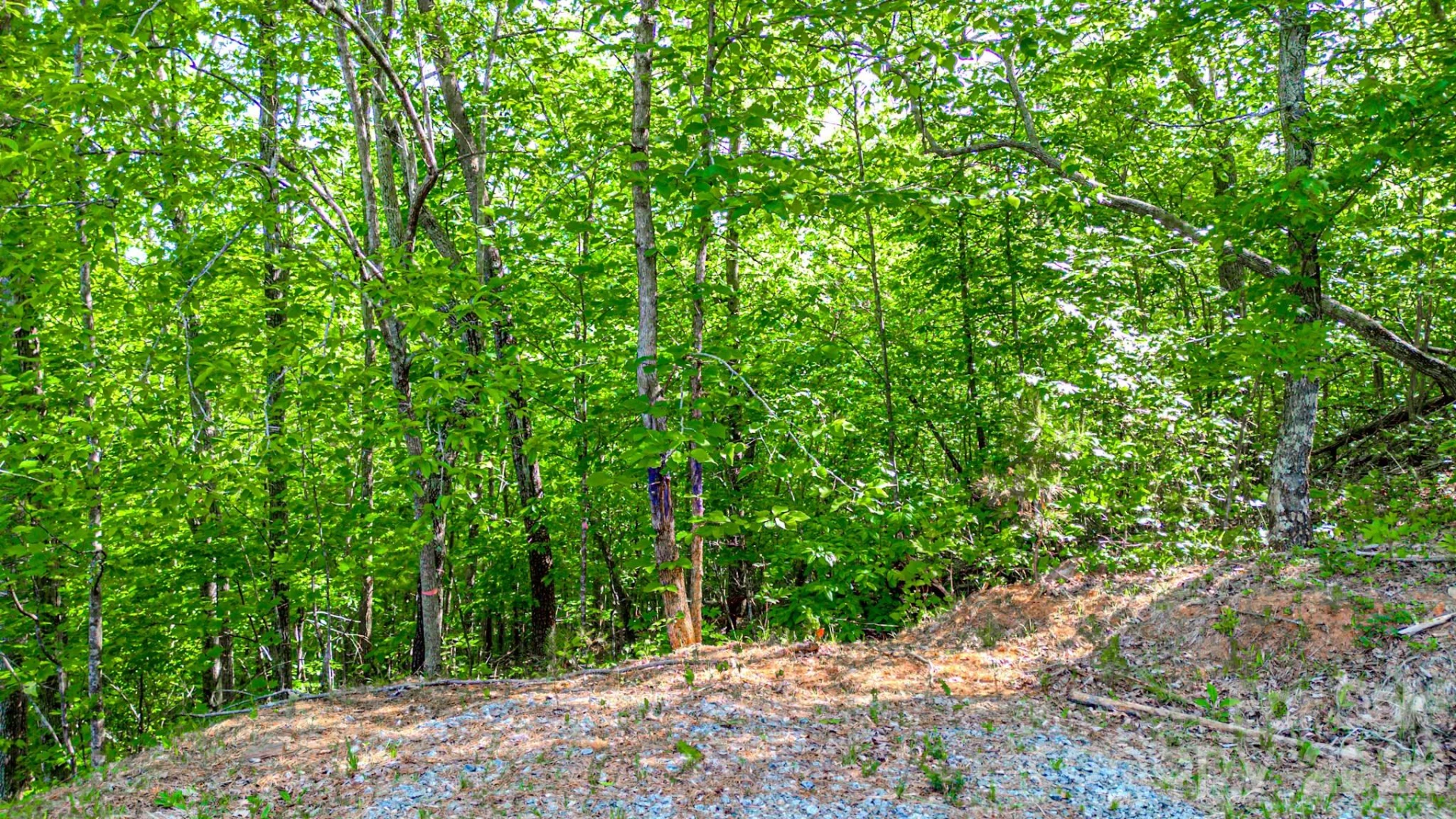 146 S Branch Drive - Photo 6