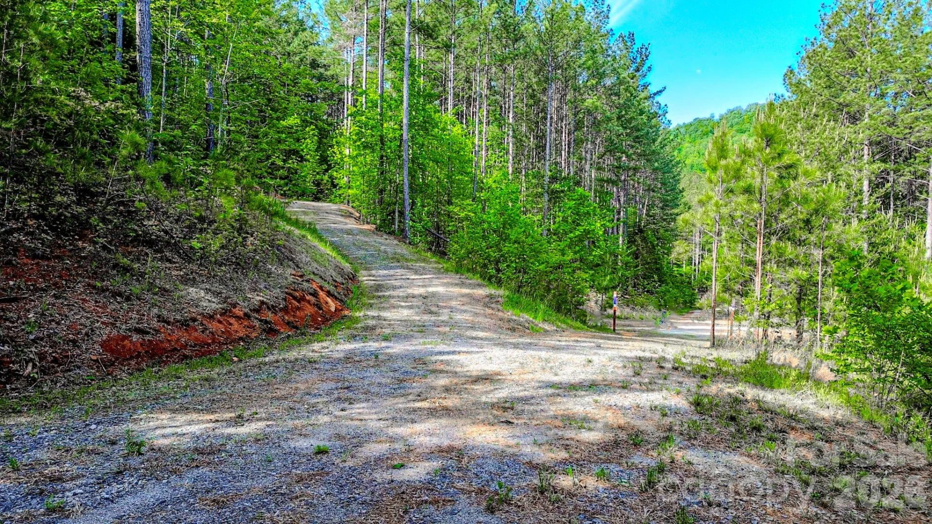 146 S Branch Drive - Photo 7