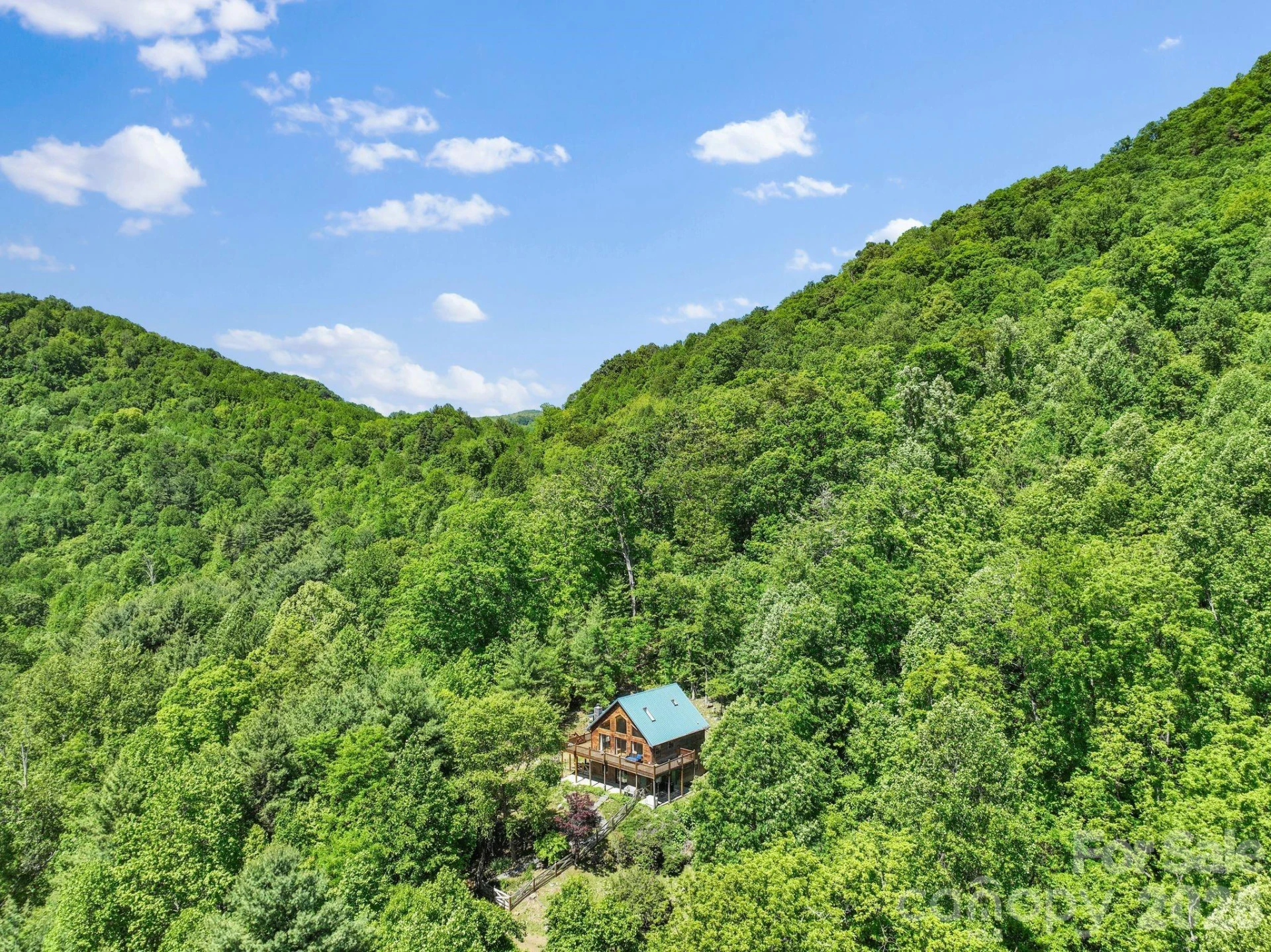 1206 Caldwell Mountain Road - Photo 2