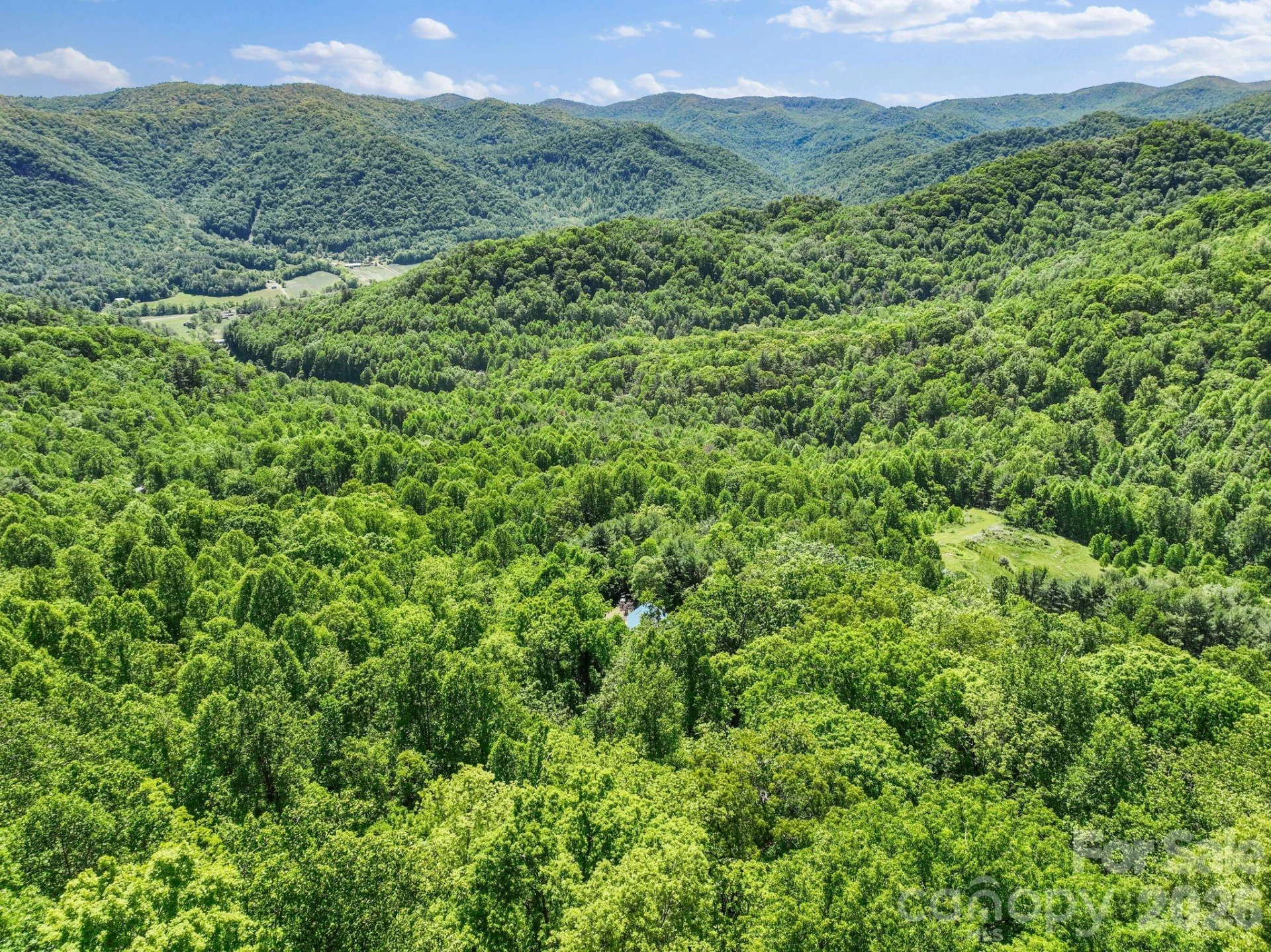1206 Caldwell Mountain Road - Photo 43