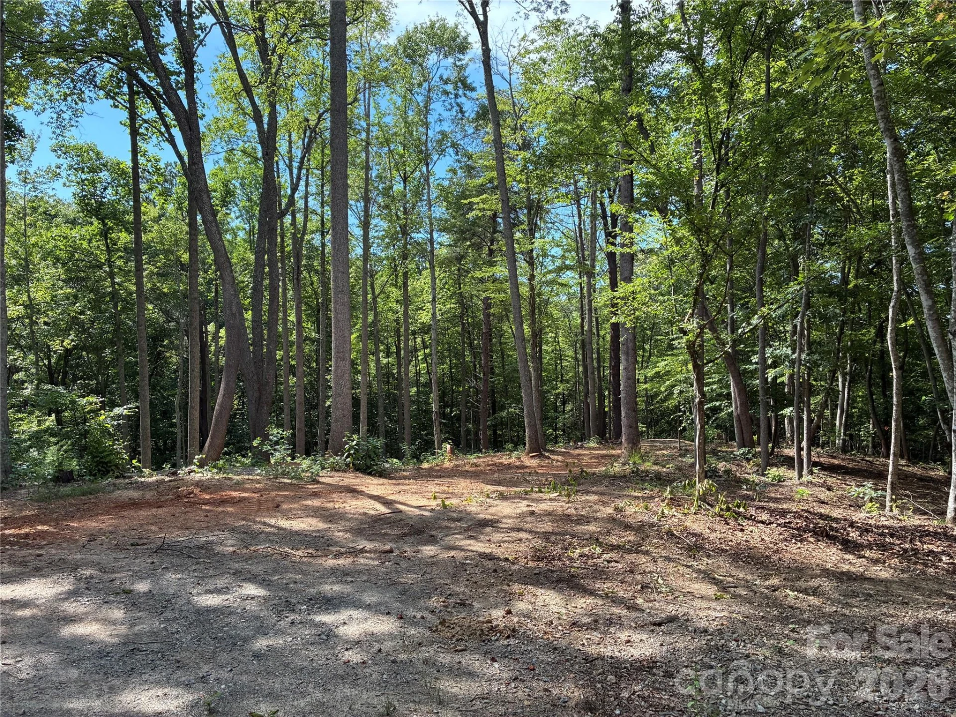 108 High Top Mountain Road #A & B - Photo 4