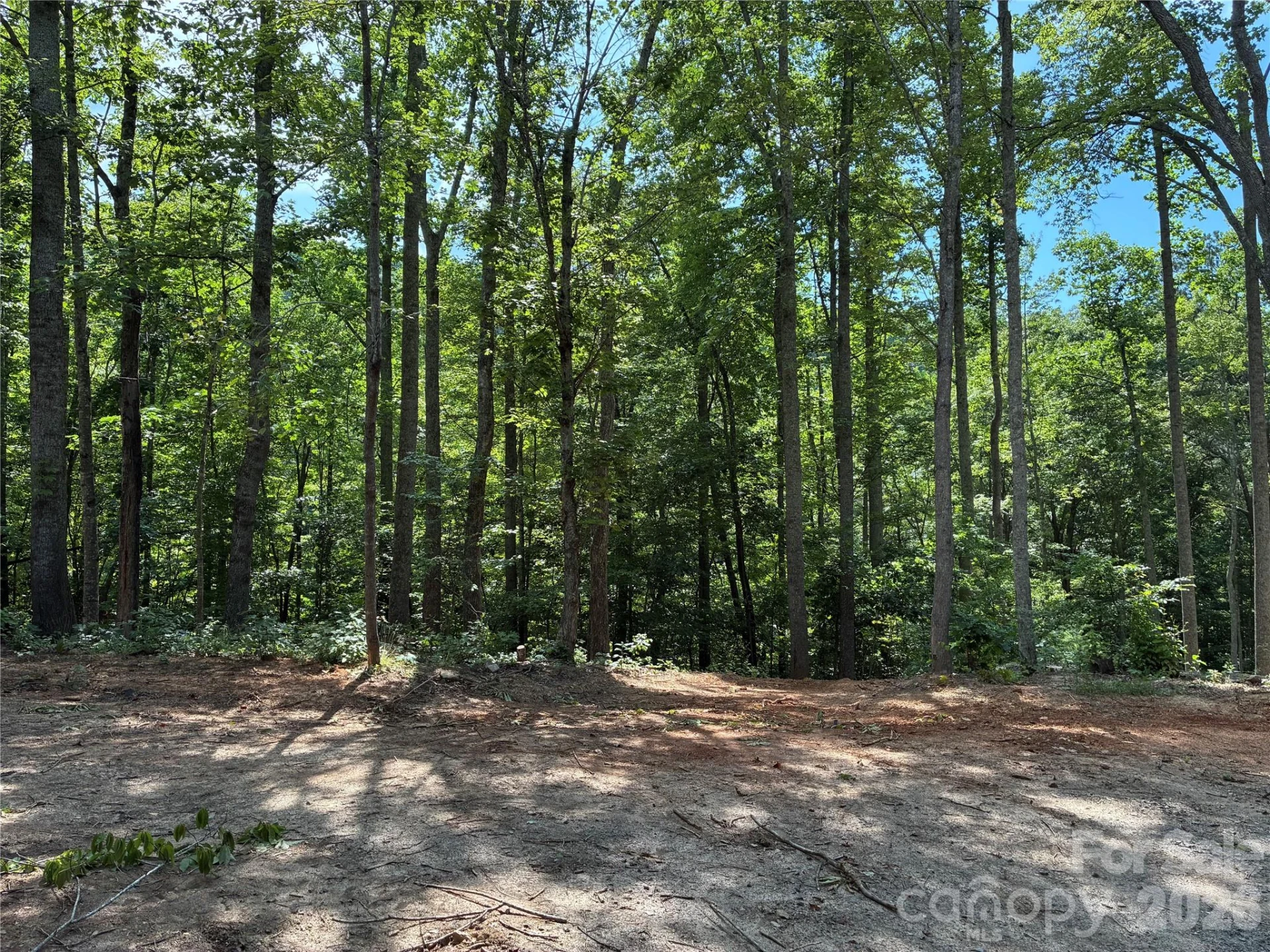 108 High Top Mountain Road #A & B - Photo 10