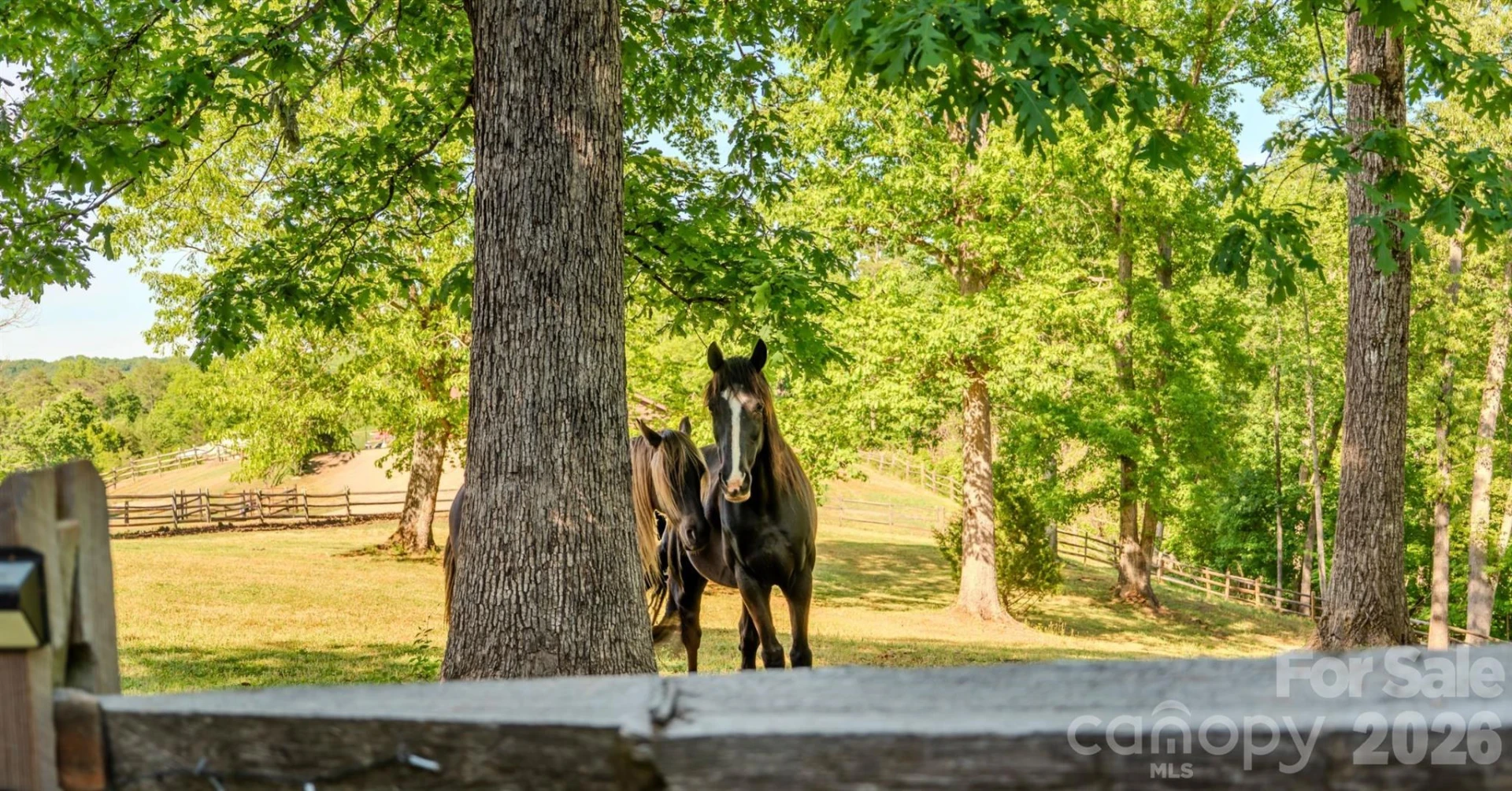 777 S River Road - Photo 5
