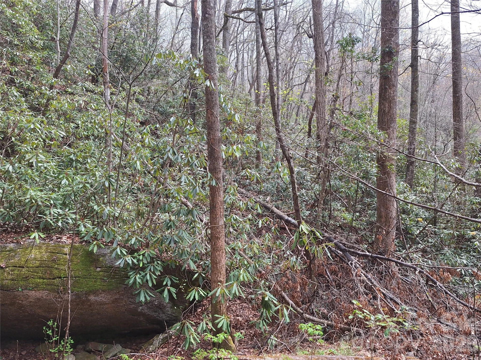946 Lake Road - Photo 11