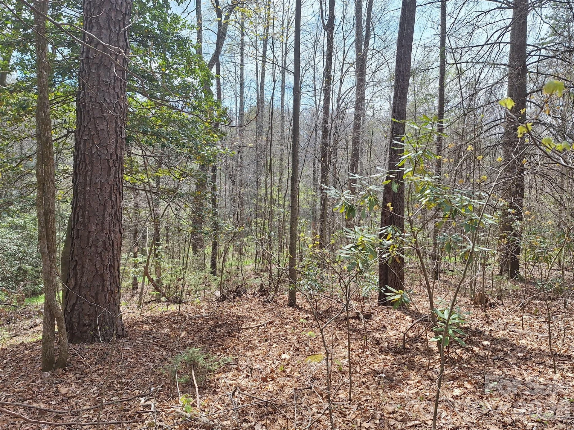 946 Lake Road - Photo 12