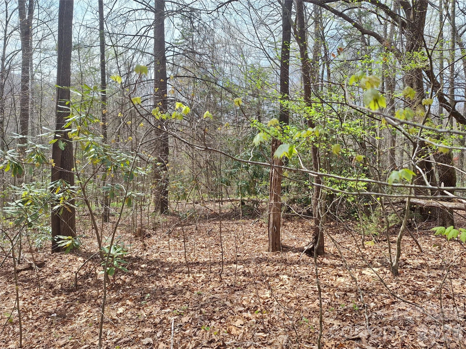 946 Lake Road - Photo 13
