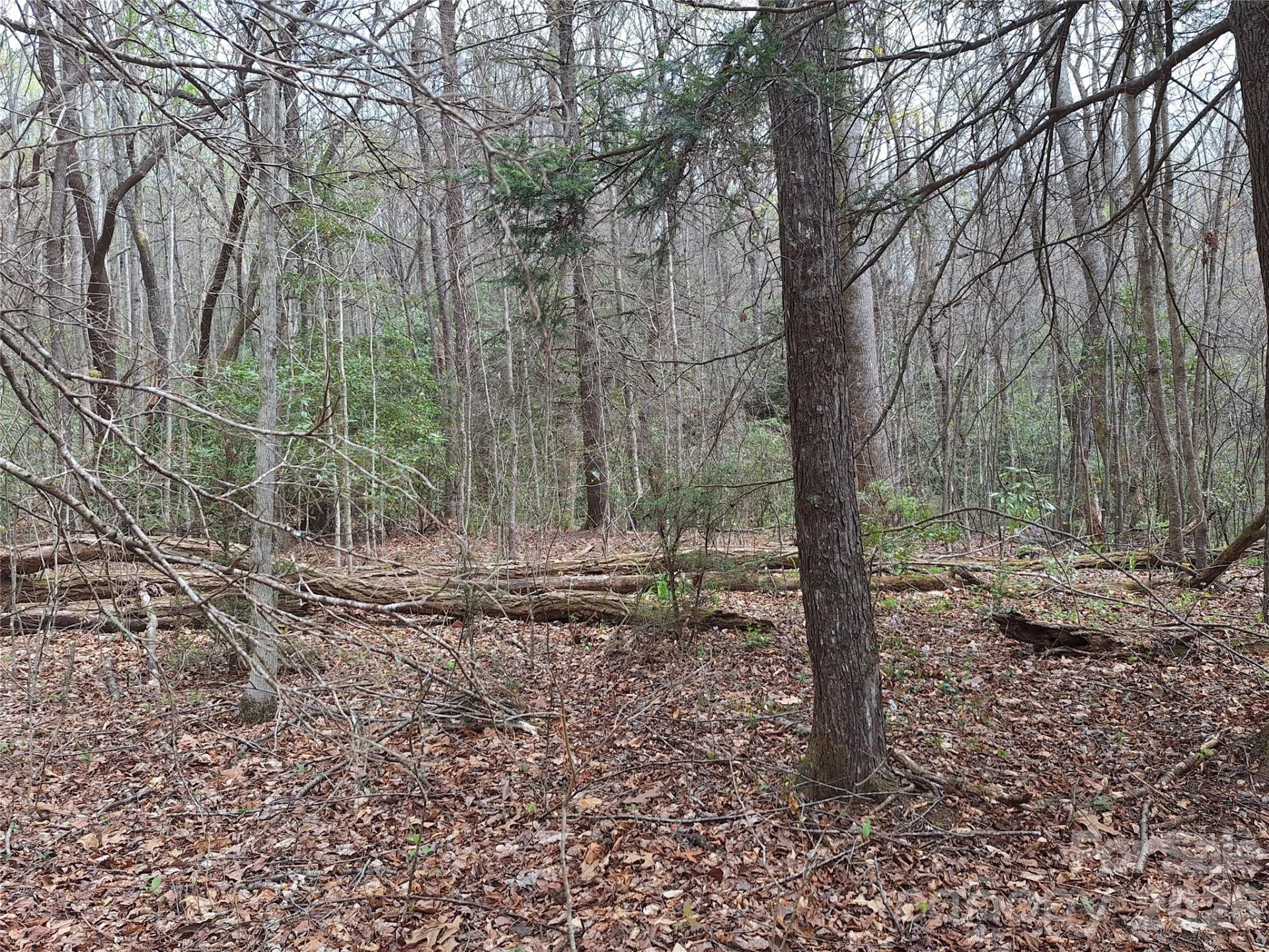 946 Lake Road - Photo 14