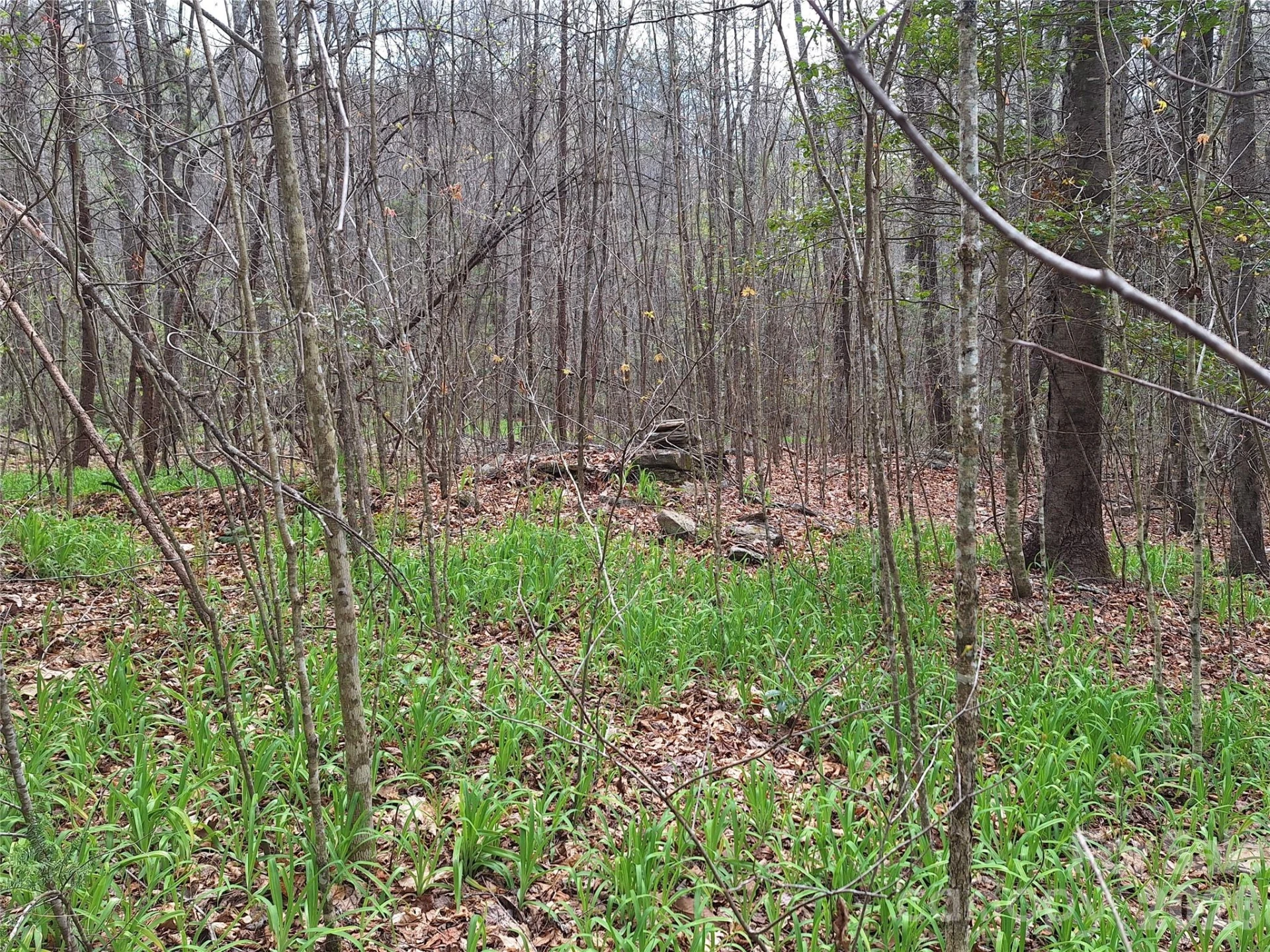 946 Lake Road - Photo 15