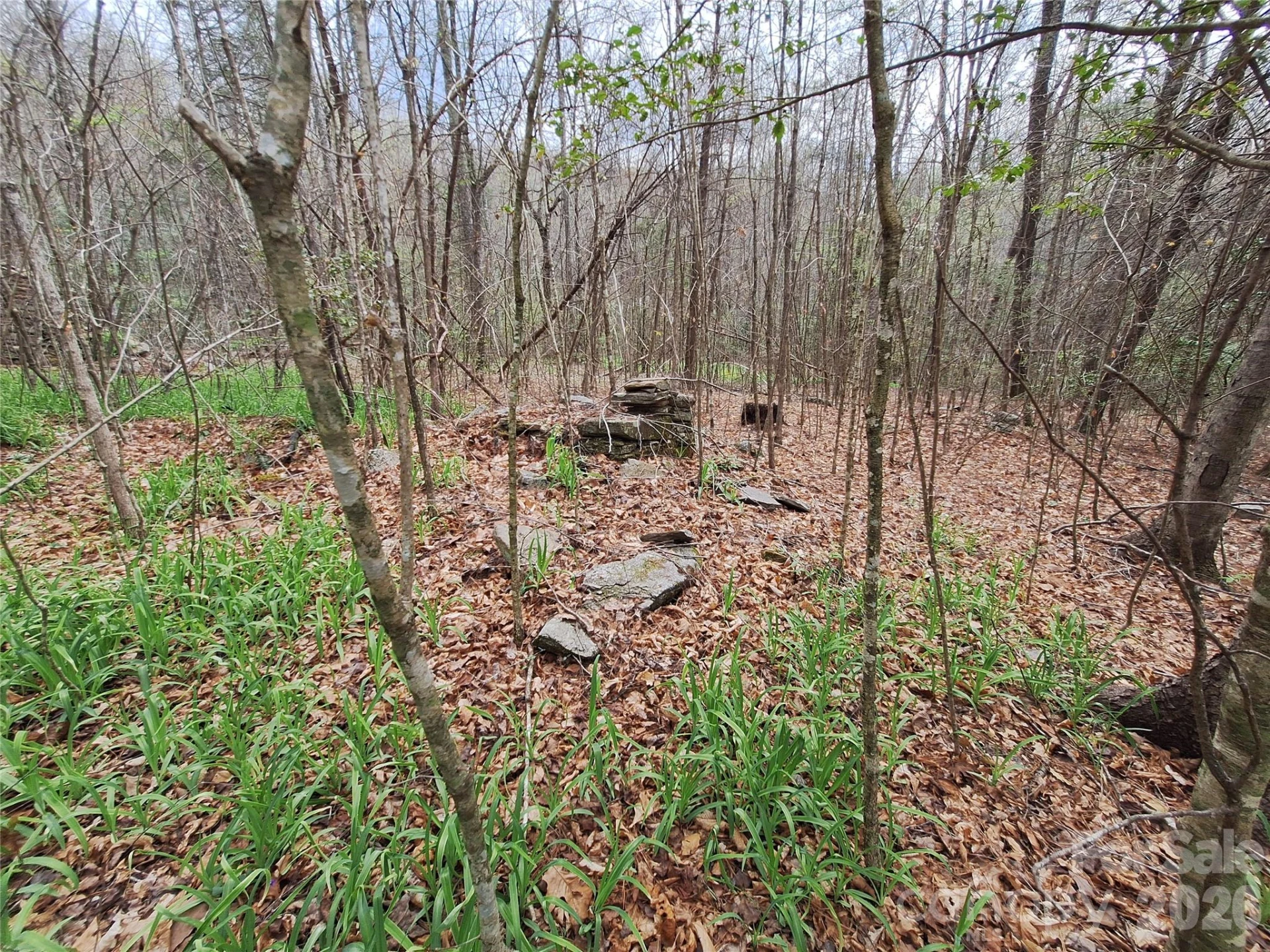 946 Lake Road - Photo 16