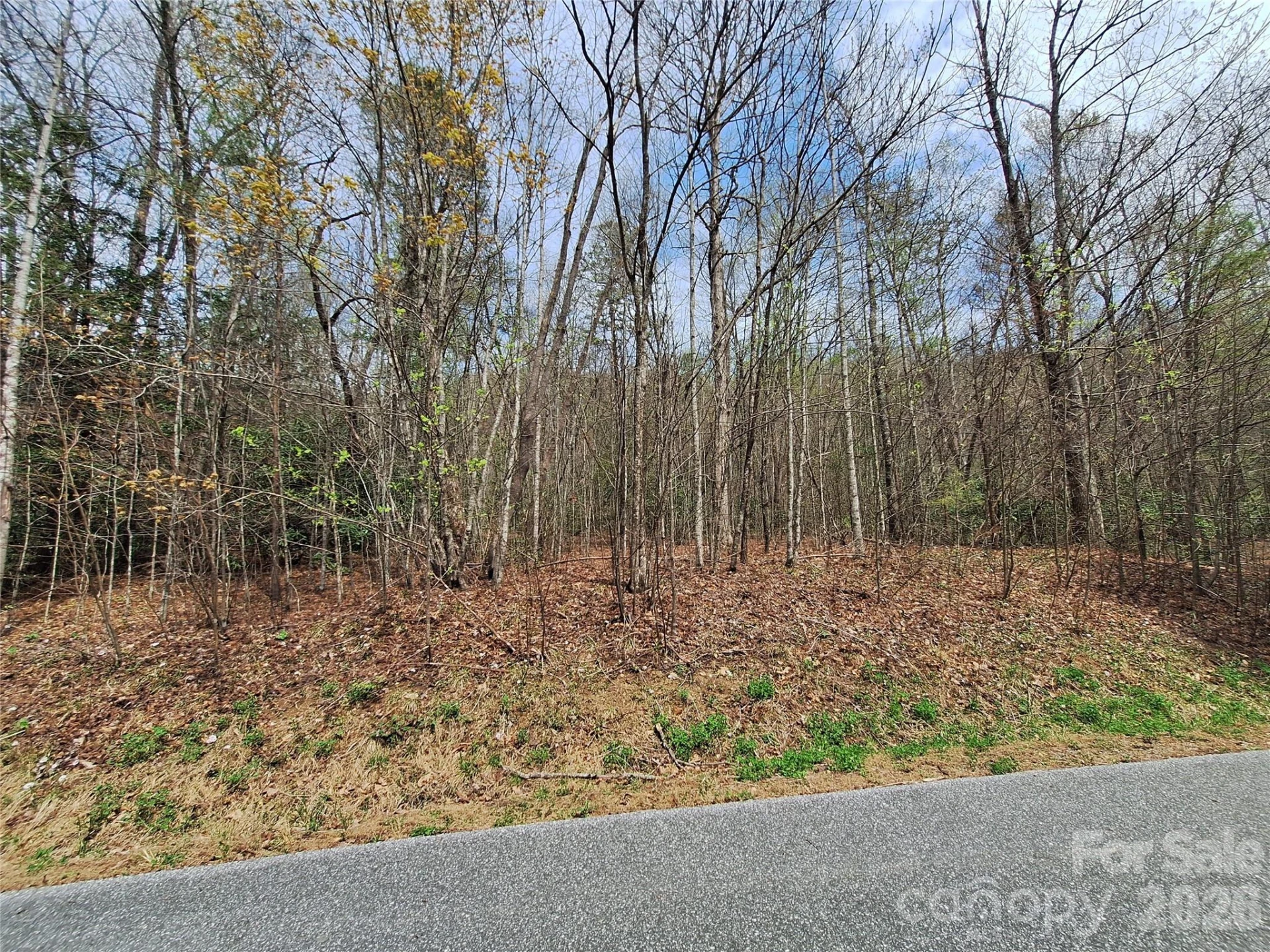 946 Lake Road - Photo 17