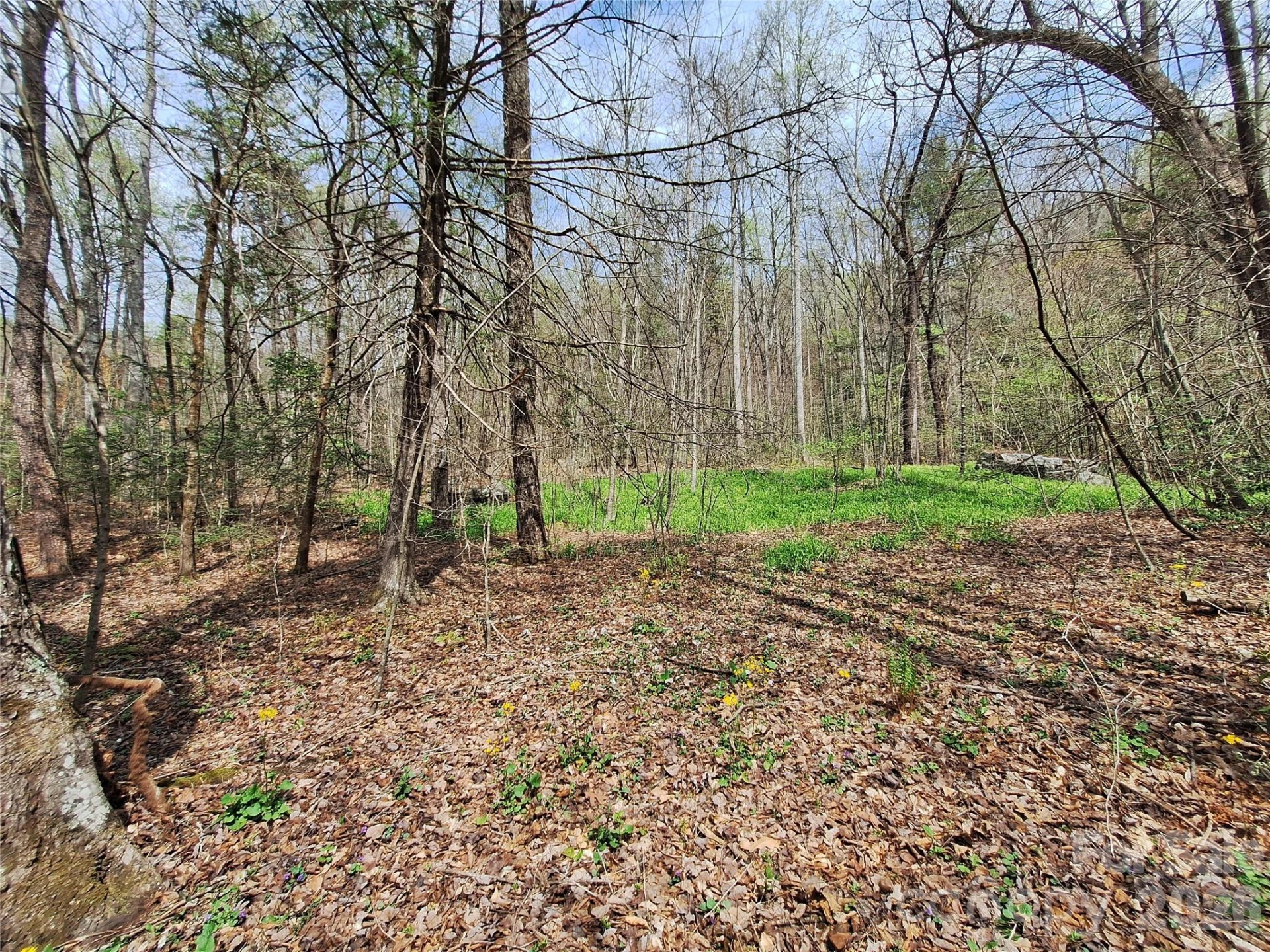 946 Lake Road - Photo 18