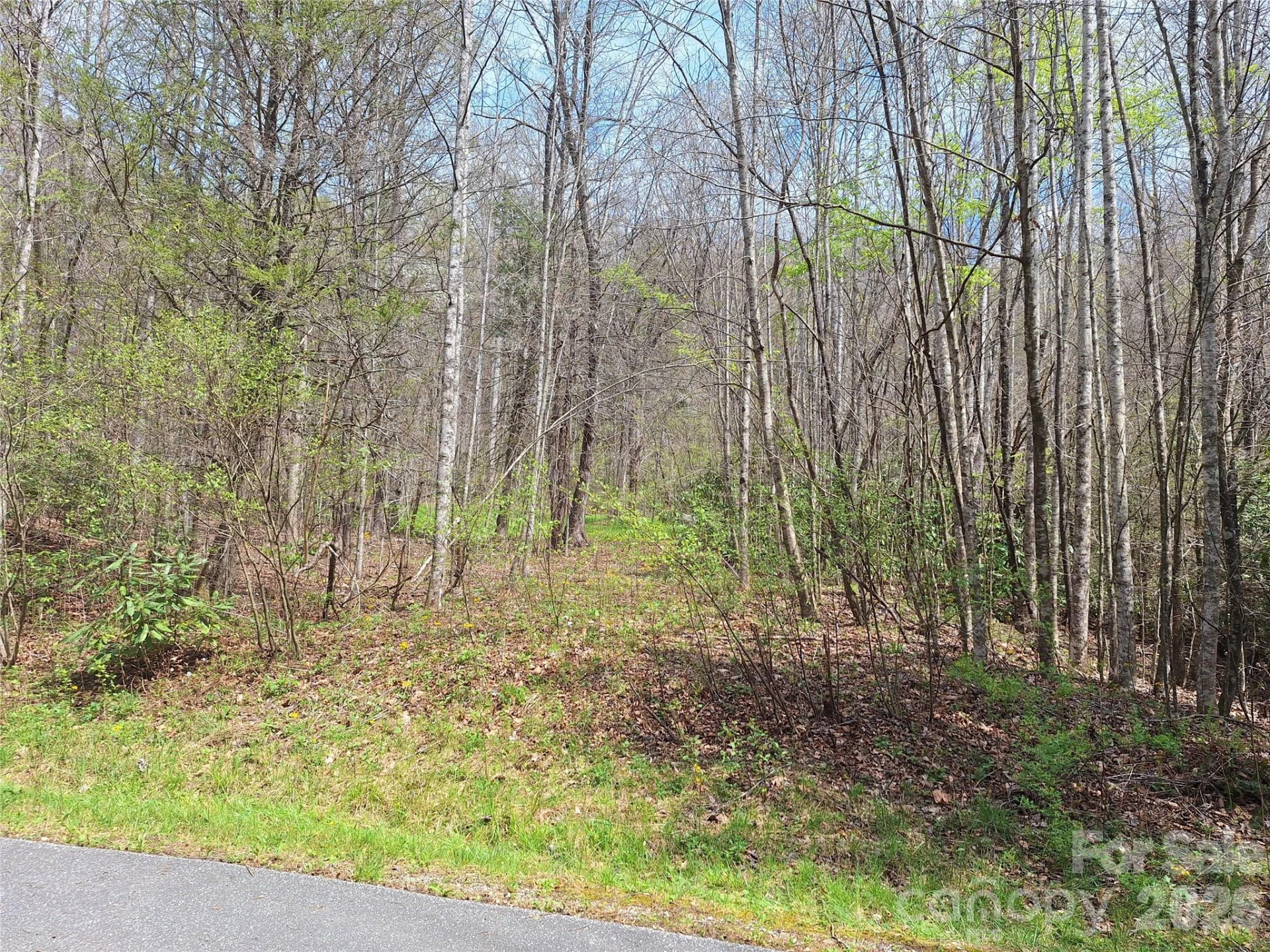 946 Lake Road - Photo 3