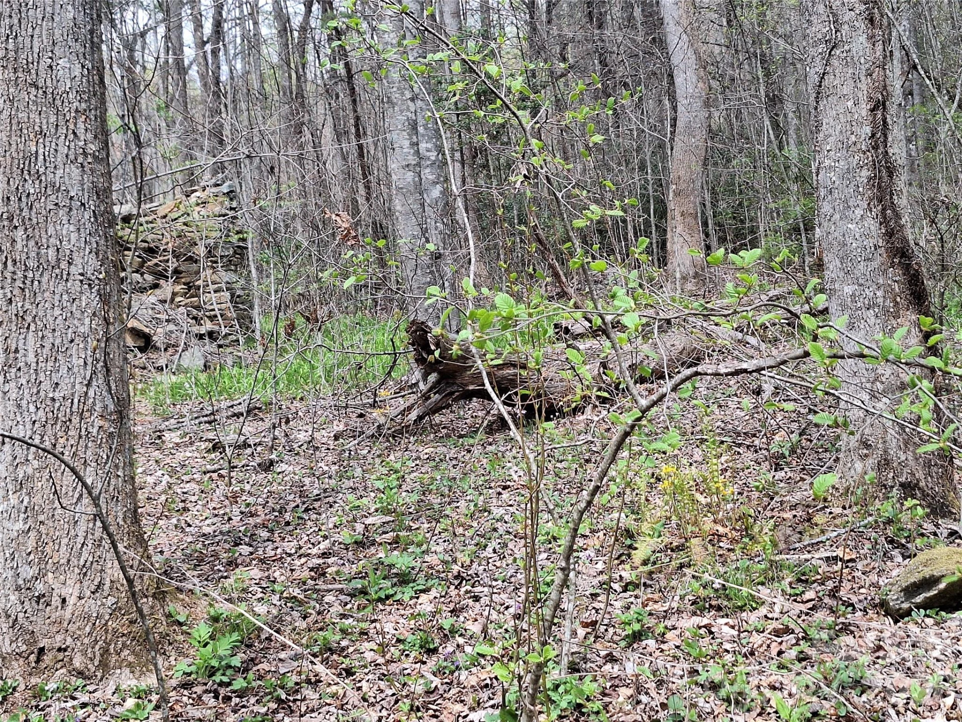 946 Lake Road - Photo 21