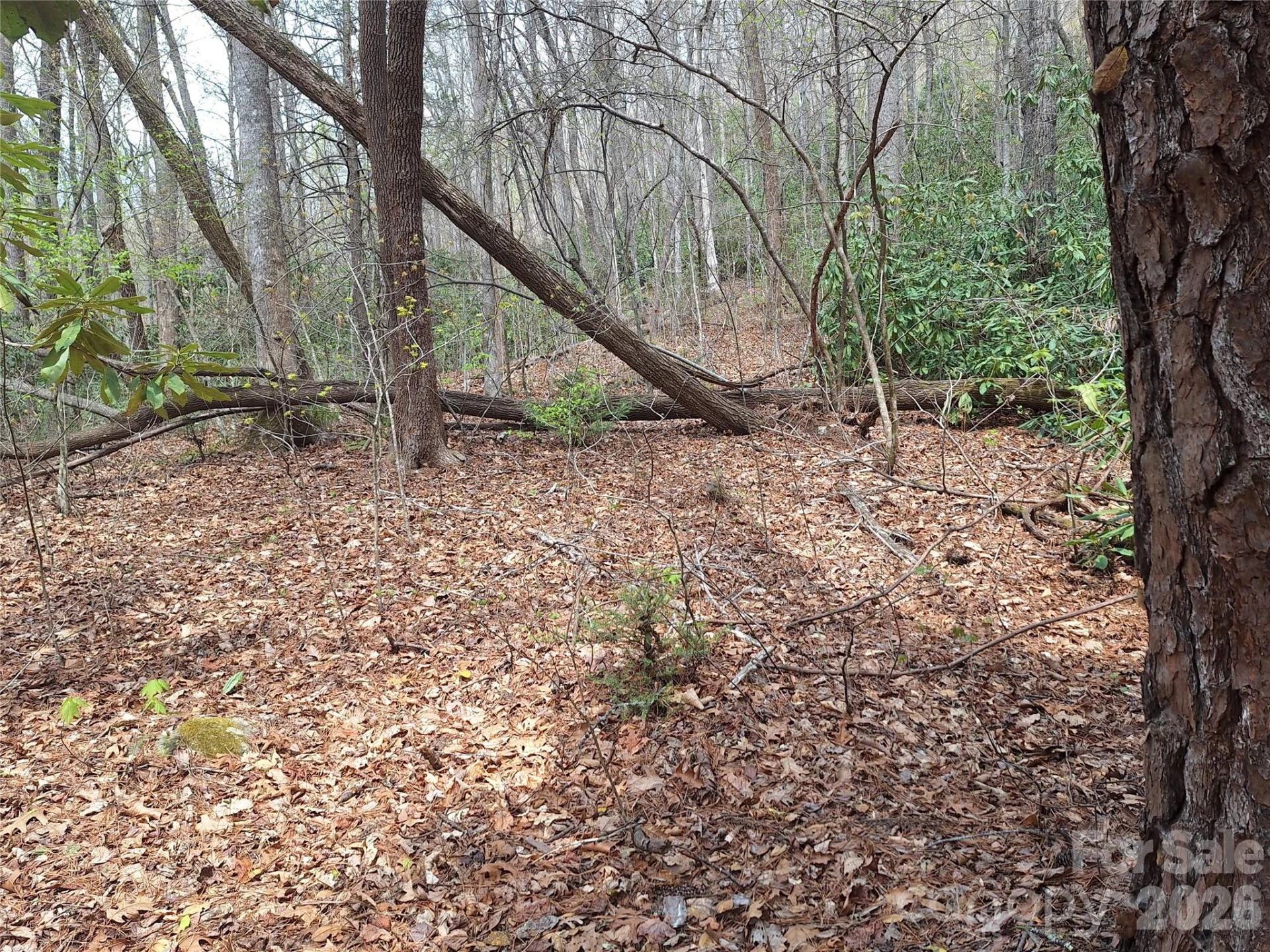 946 Lake Road - Photo 22