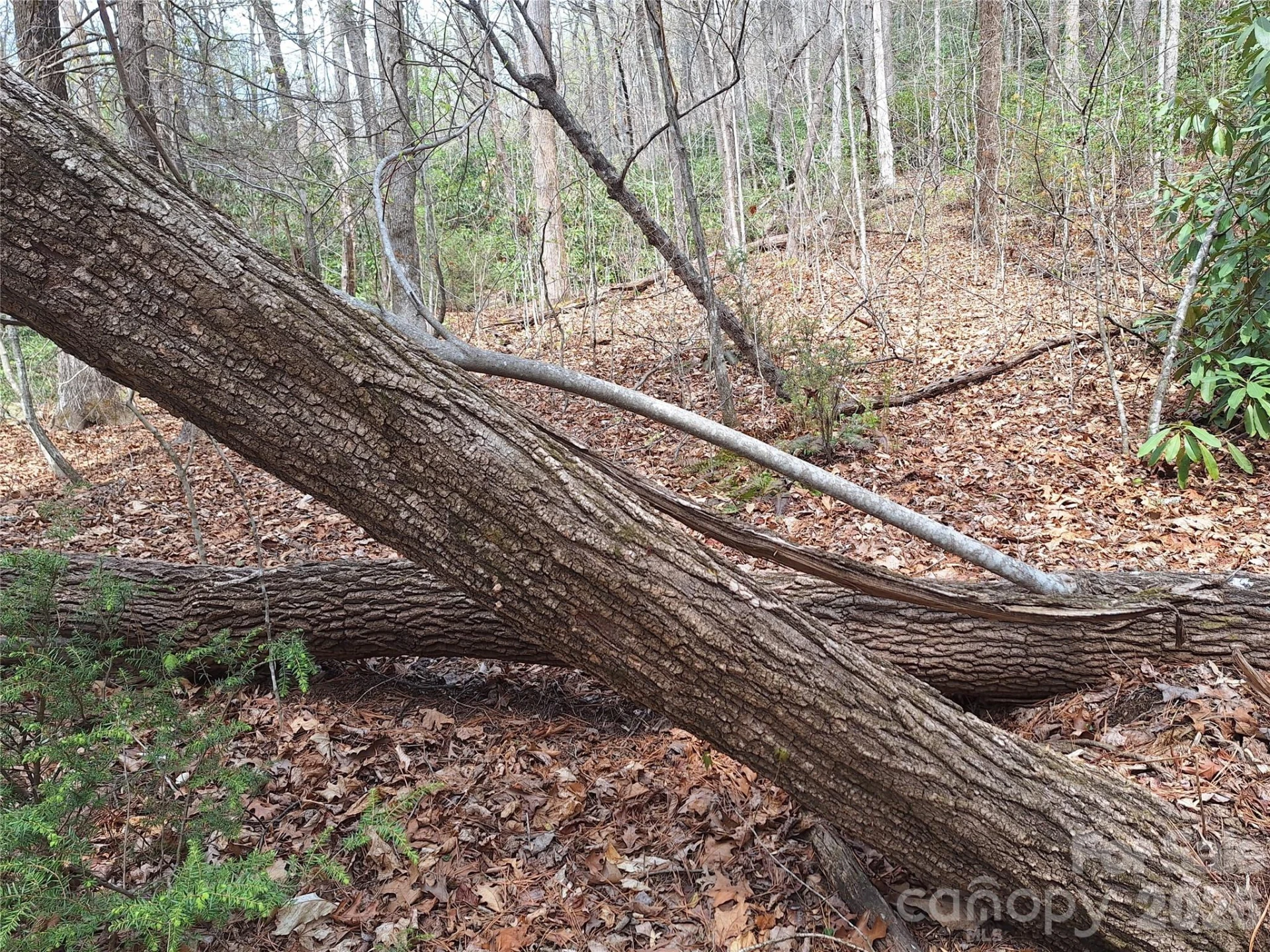 946 Lake Road - Photo 23