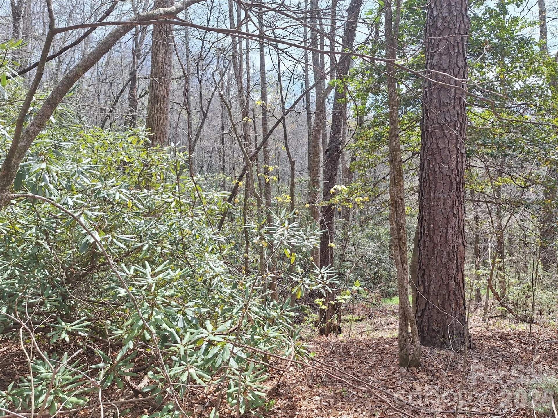 946 Lake Road - Photo 24
