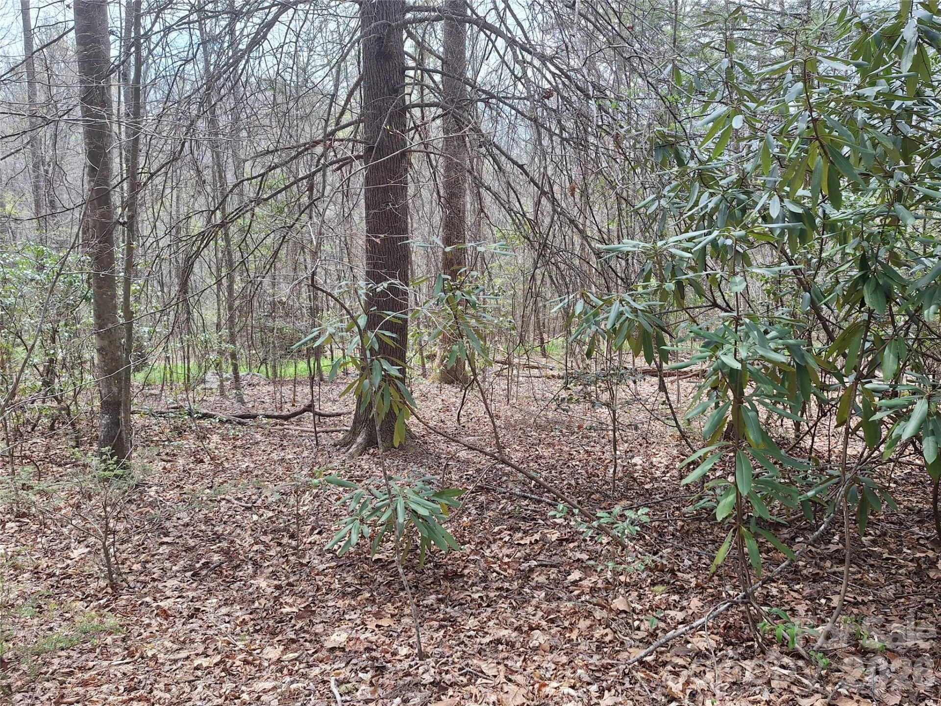 946 Lake Road - Photo 25