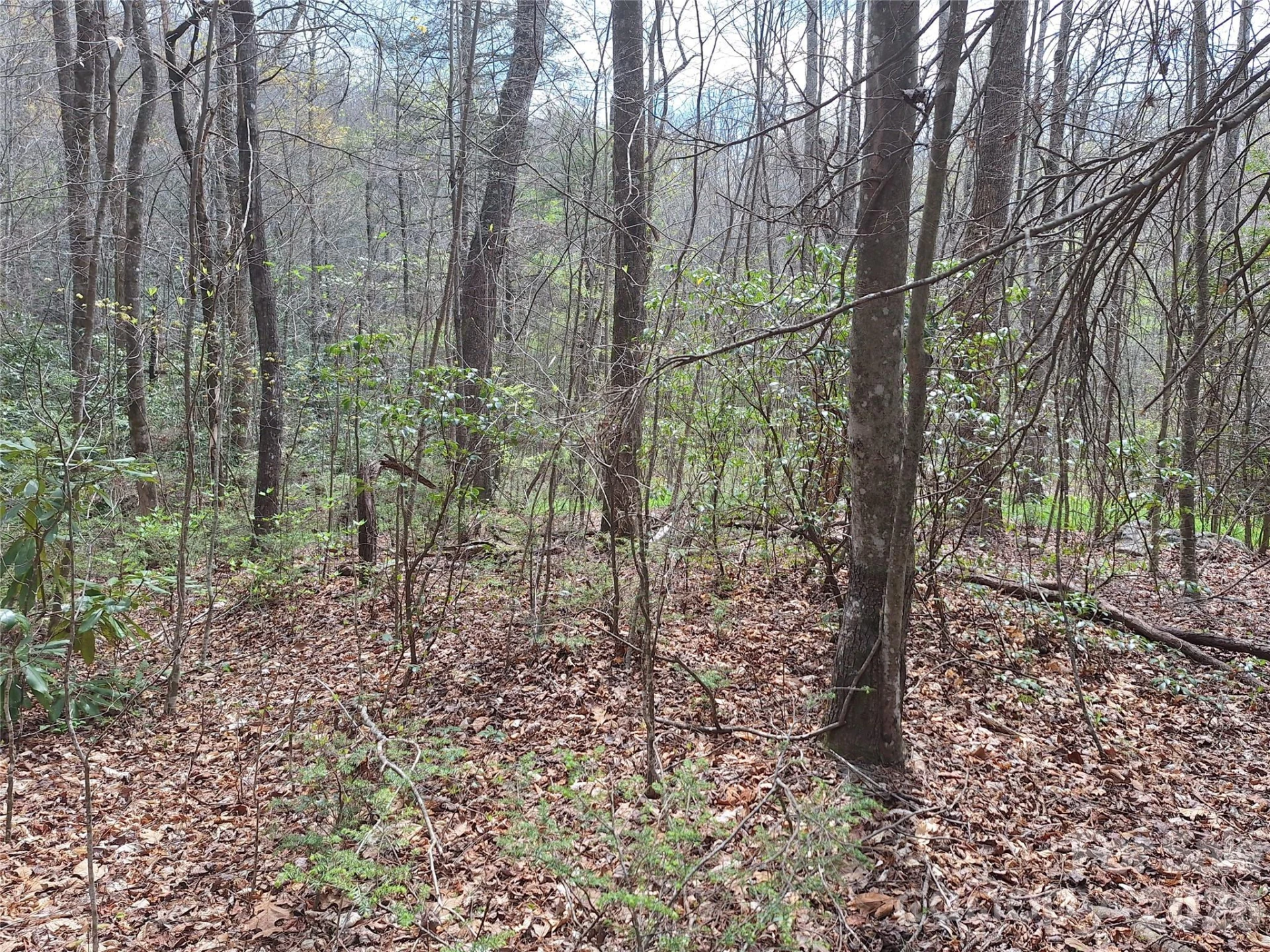 946 Lake Road - Photo 26
