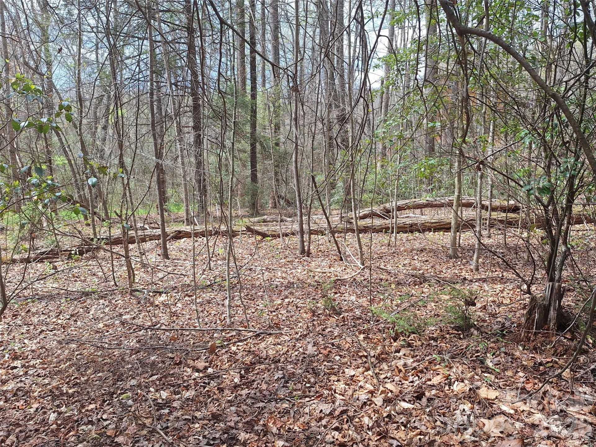946 Lake Road - Photo 27