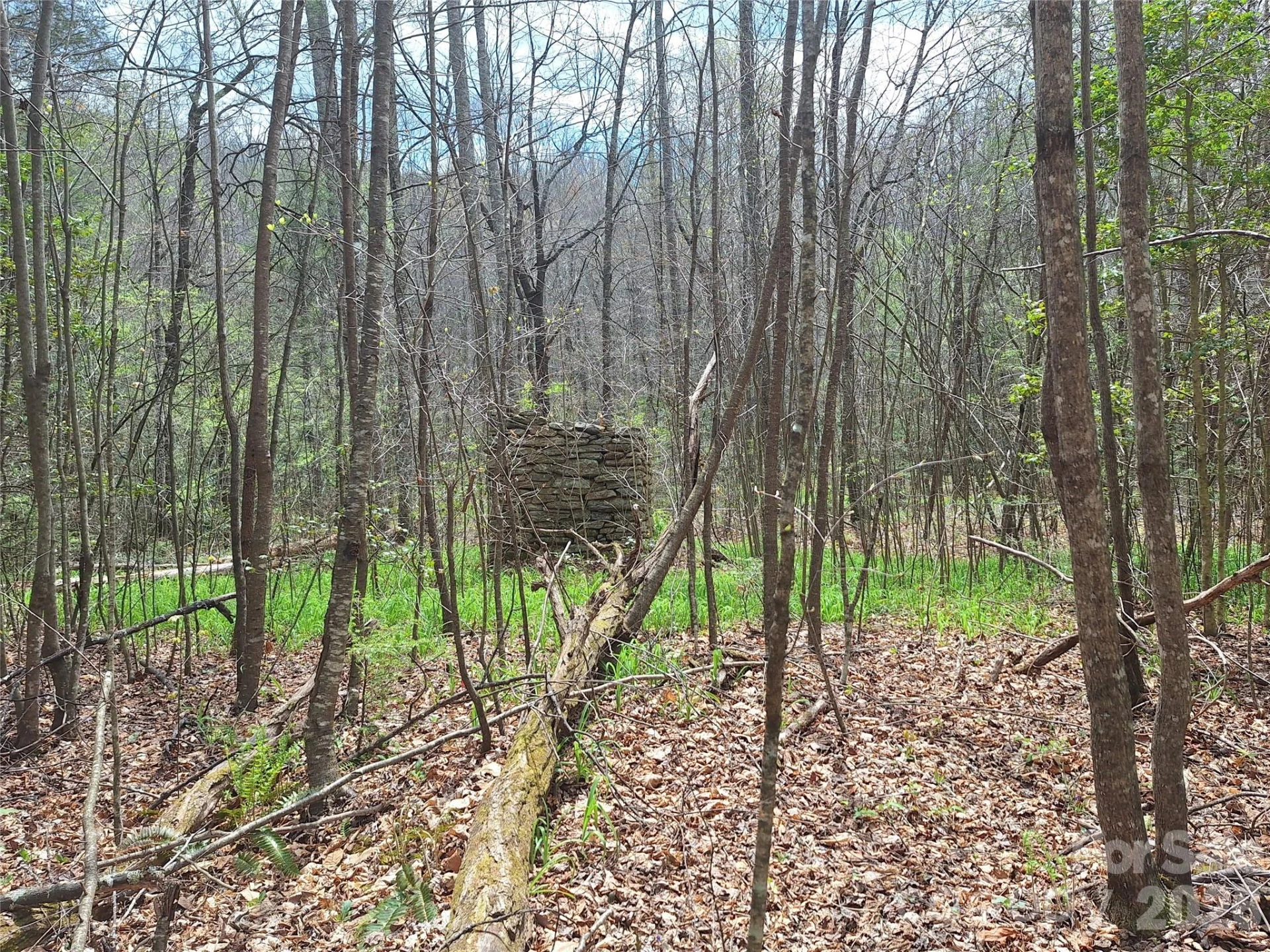946 Lake Road - Photo 28