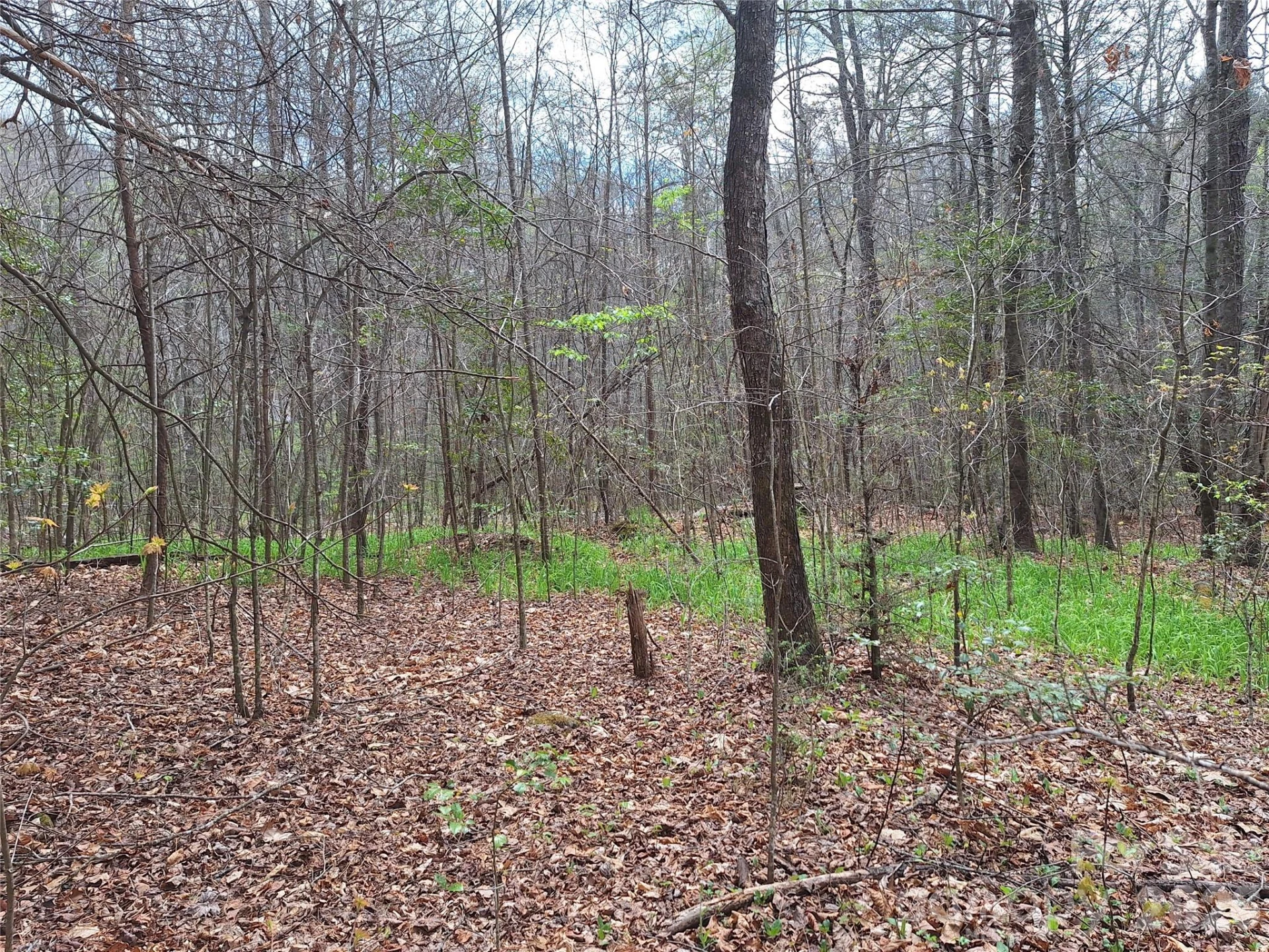 946 Lake Road - Photo 29