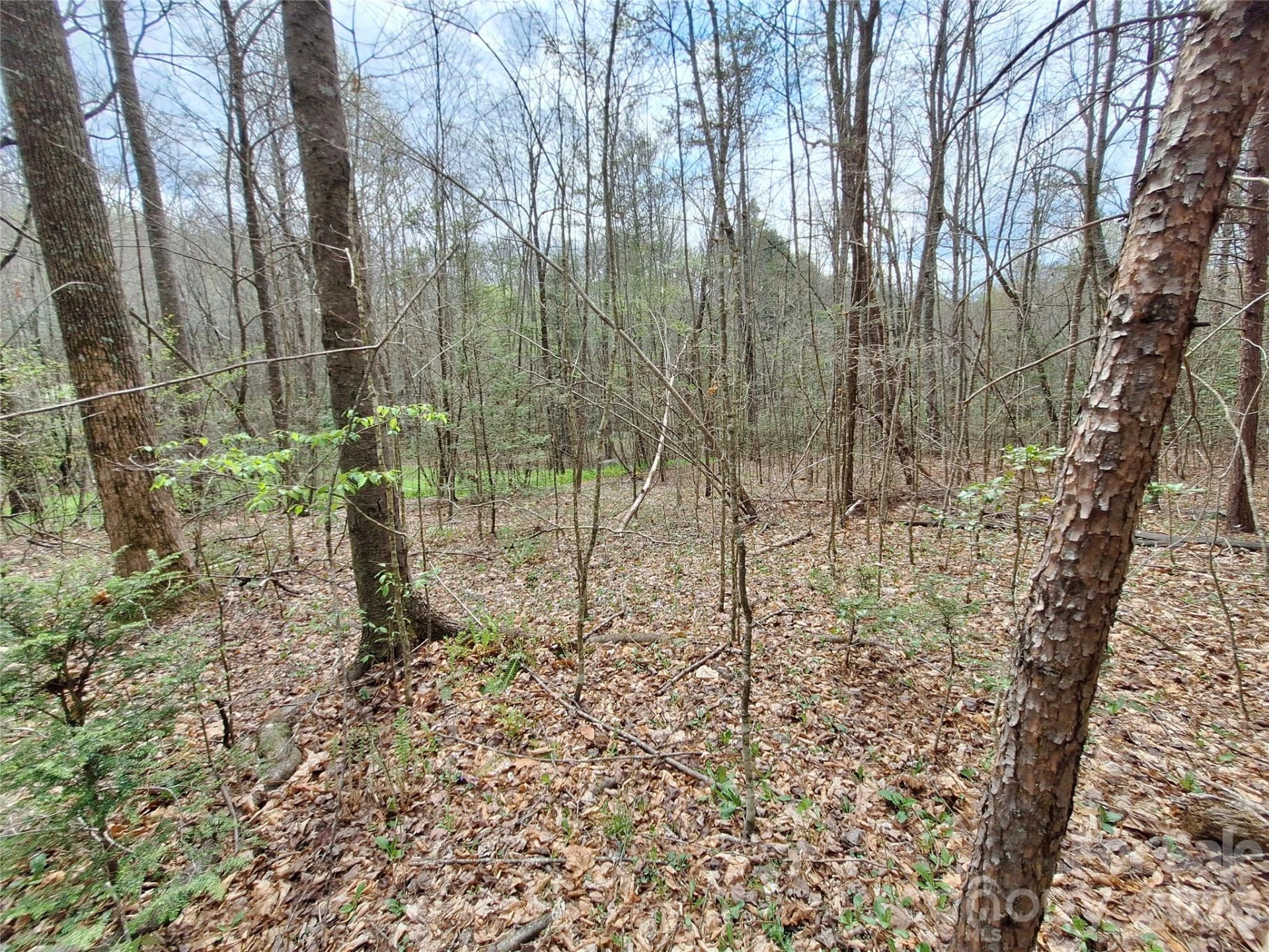 946 Lake Road - Photo 30