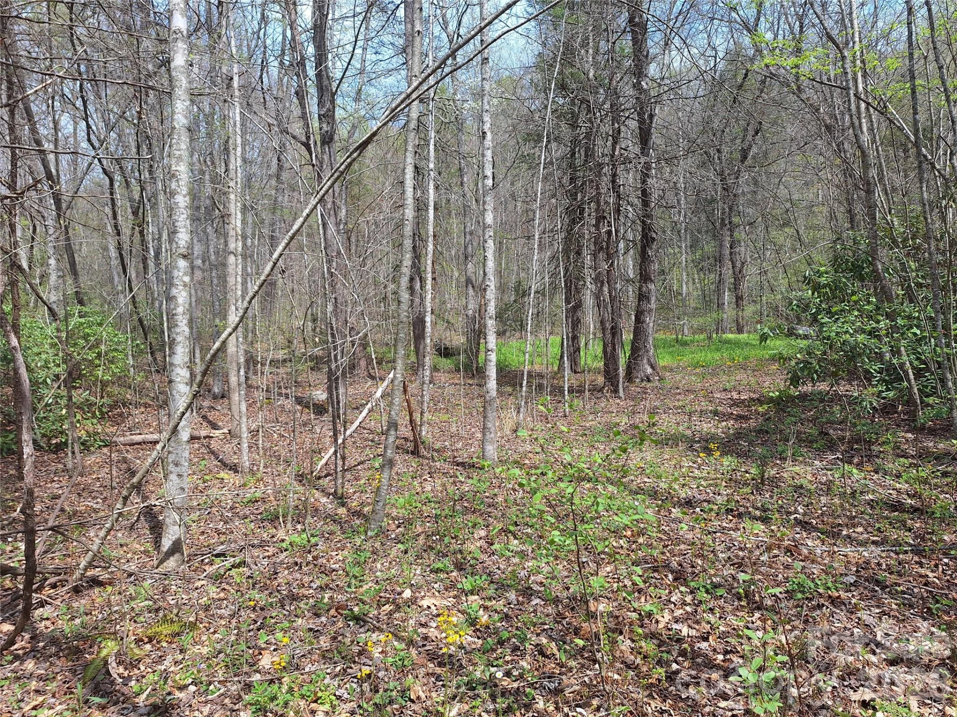 946 Lake Road - Photo 4