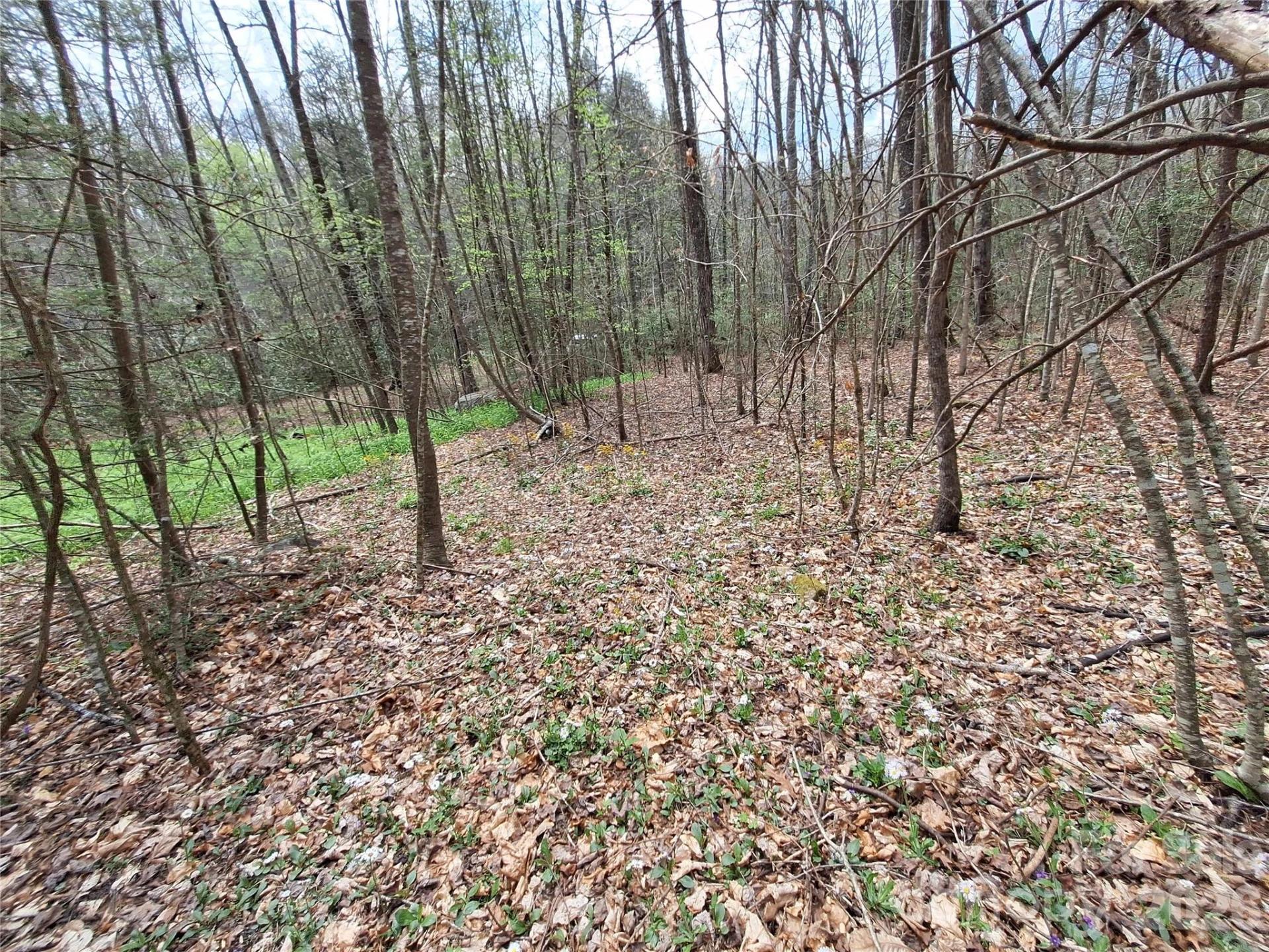 946 Lake Road - Photo 31