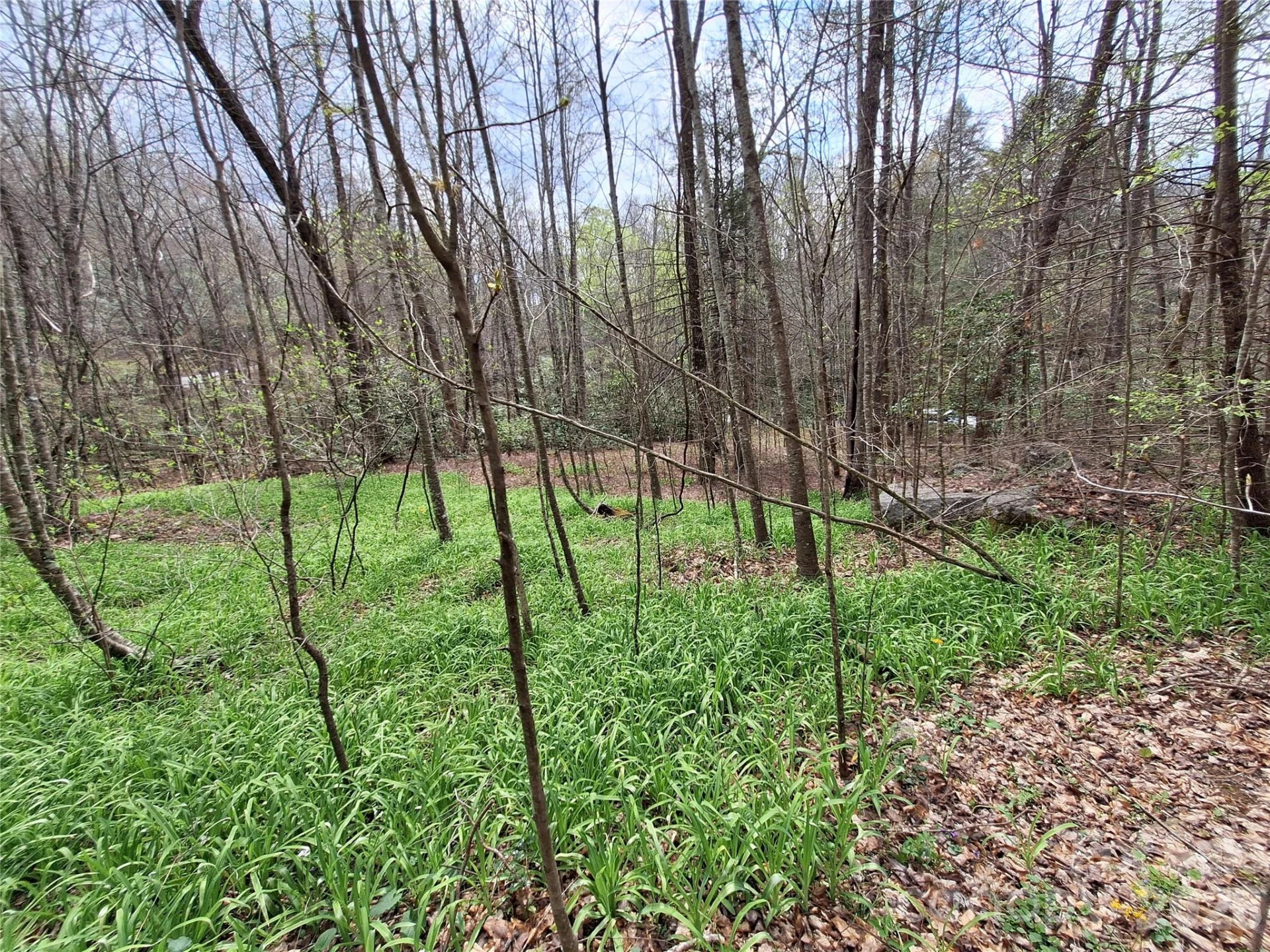 946 Lake Road - Photo 32