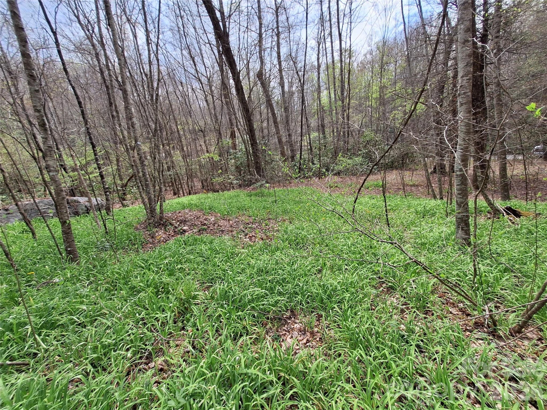 946 Lake Road - Photo 33