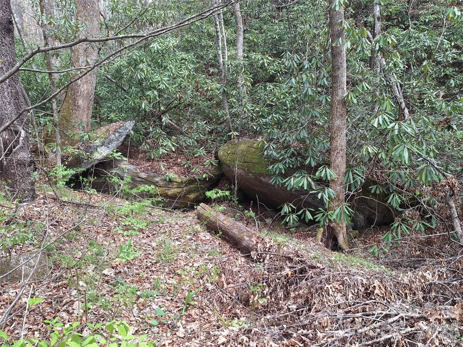 946 Lake Road - Photo 36
